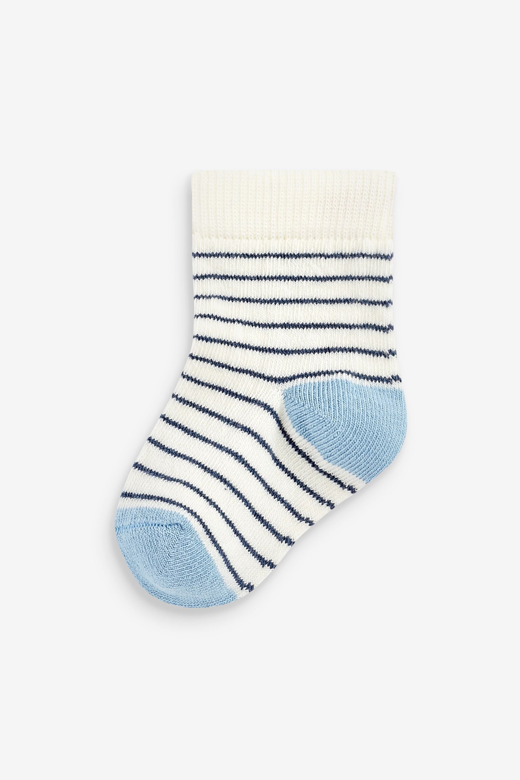 Blue Lion 5 Pack Baby Socks (0mths-2yrs)