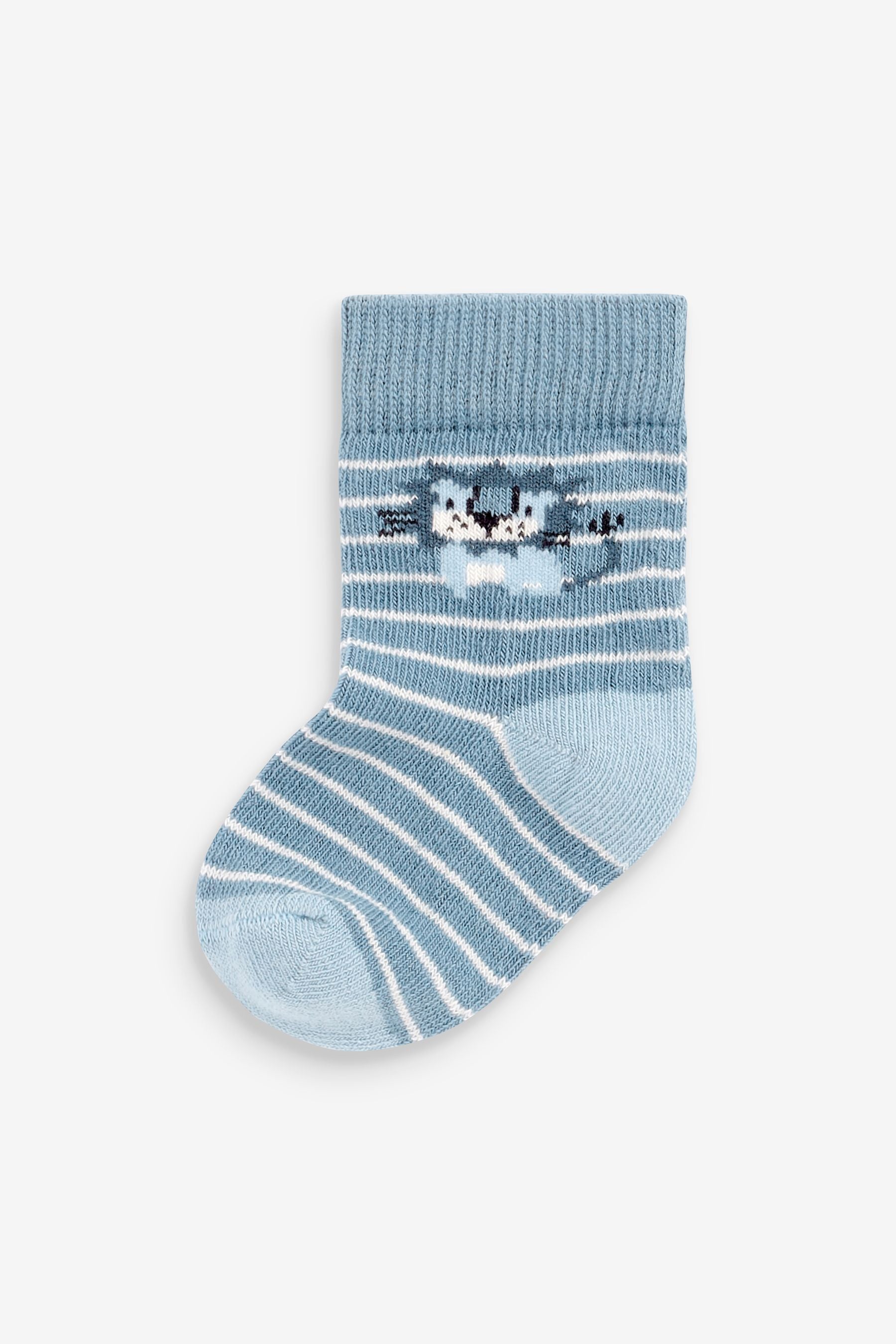 Blue Lion 5 Pack Baby Socks (0mths-2yrs)