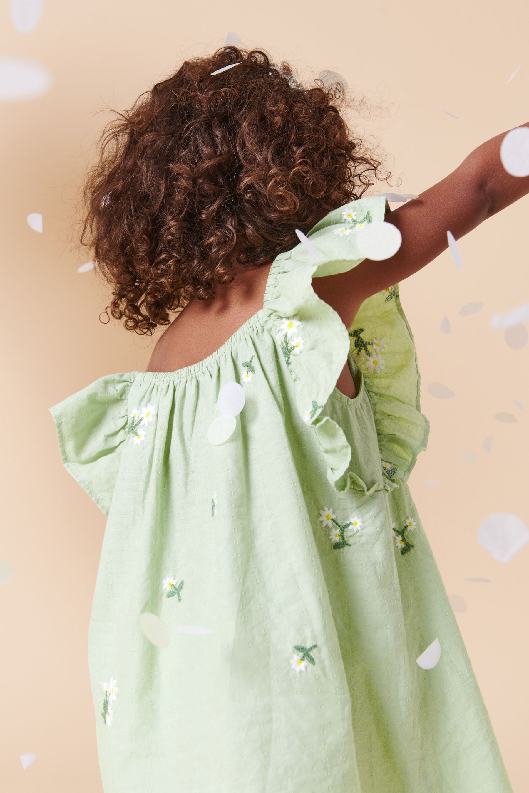 Soft Green Floral Embroidered Frill Sleeve Dress (3mths-8yrs)