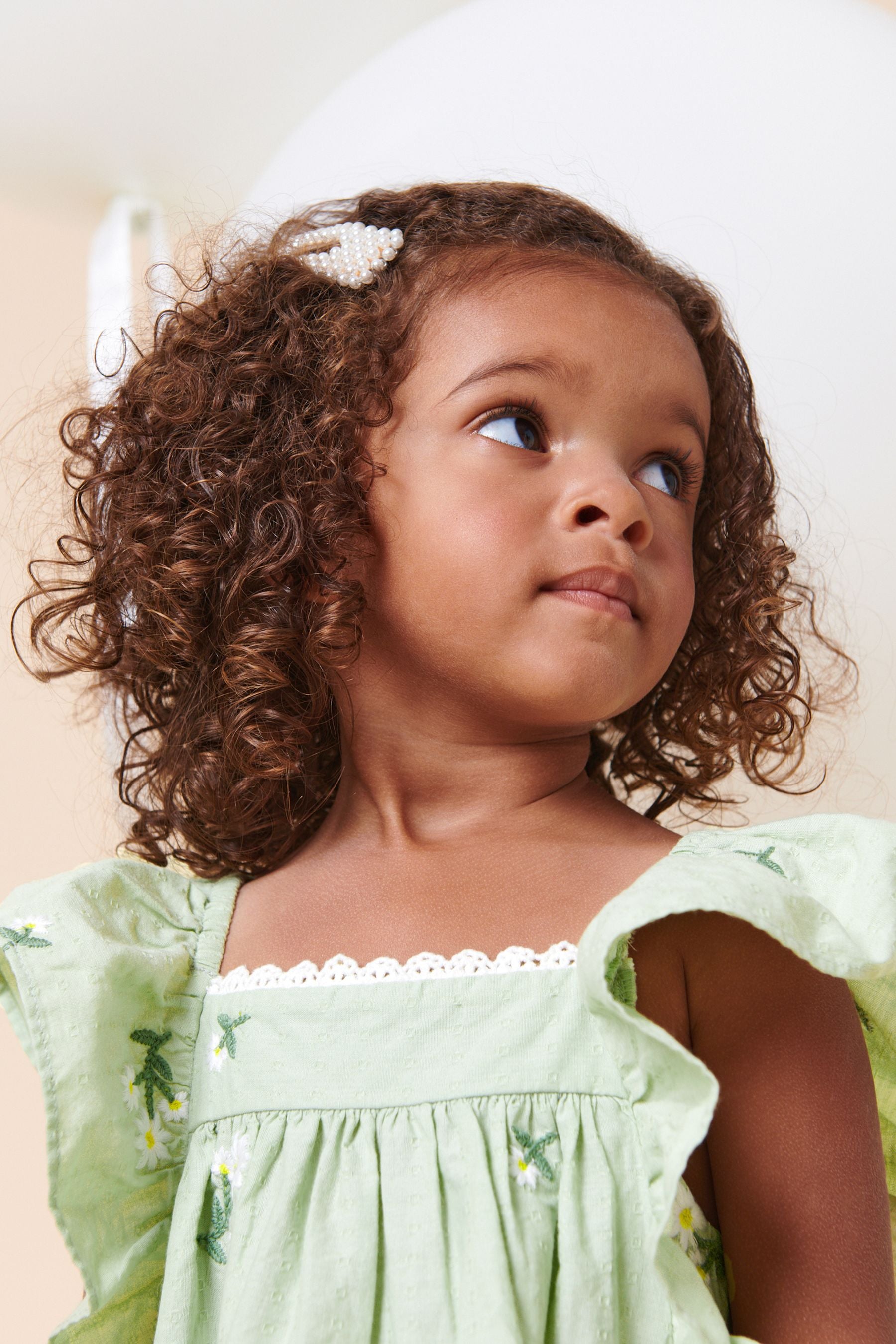 Soft Green Floral Embroidered Frill Sleeve Dress (3mths-8yrs)