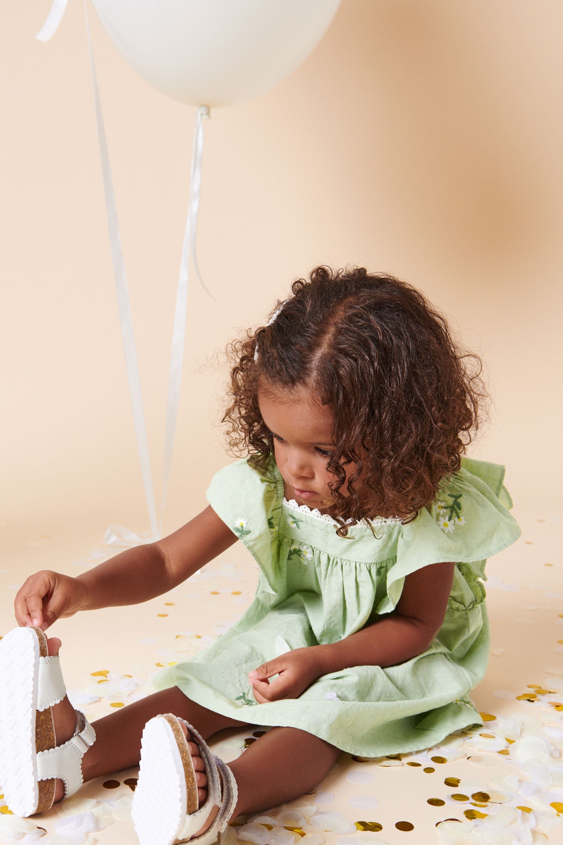 Soft Green Floral Embroidered Frill Sleeve Dress (3mths-8yrs)