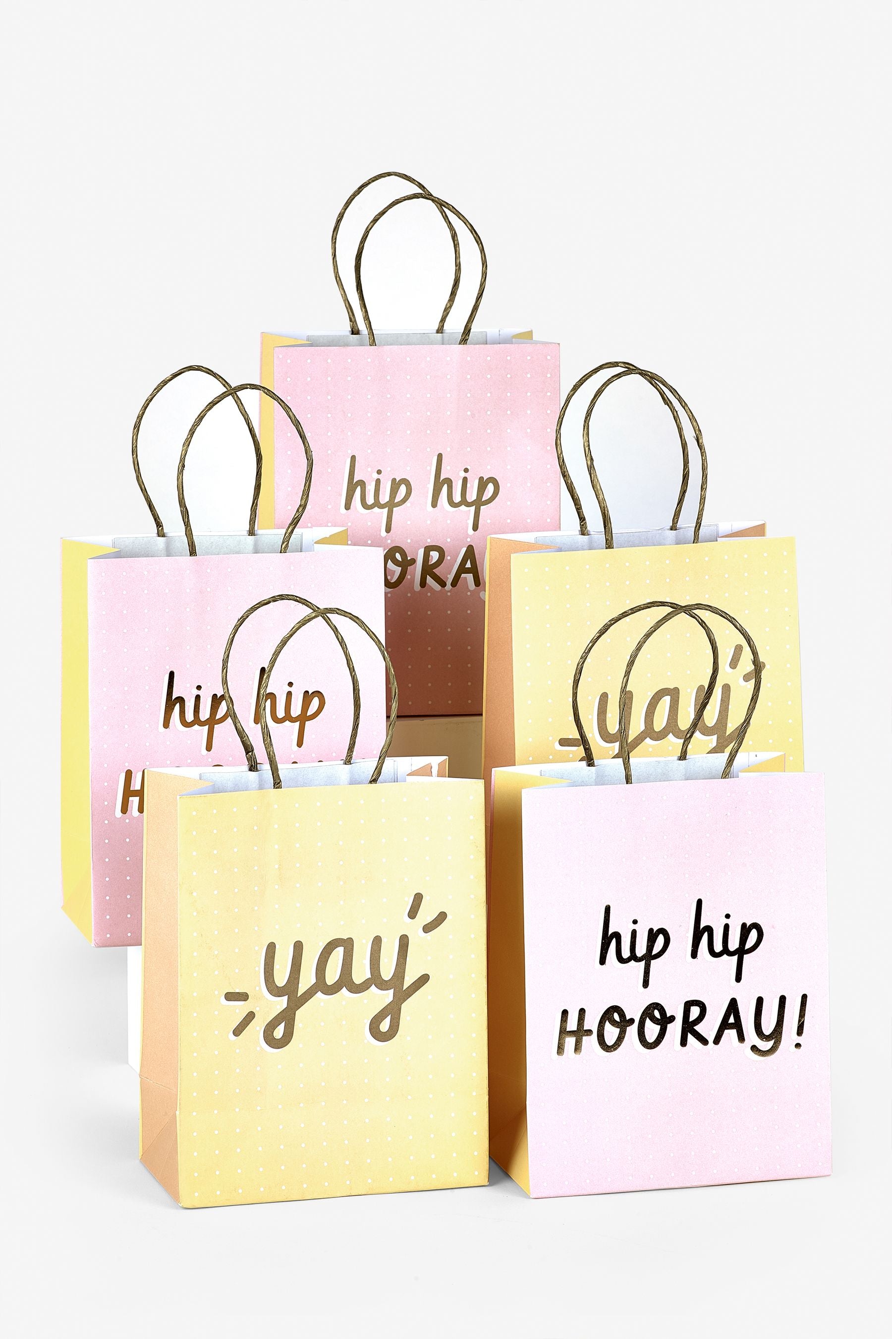 Pink 5 Pack Party Gift Bags