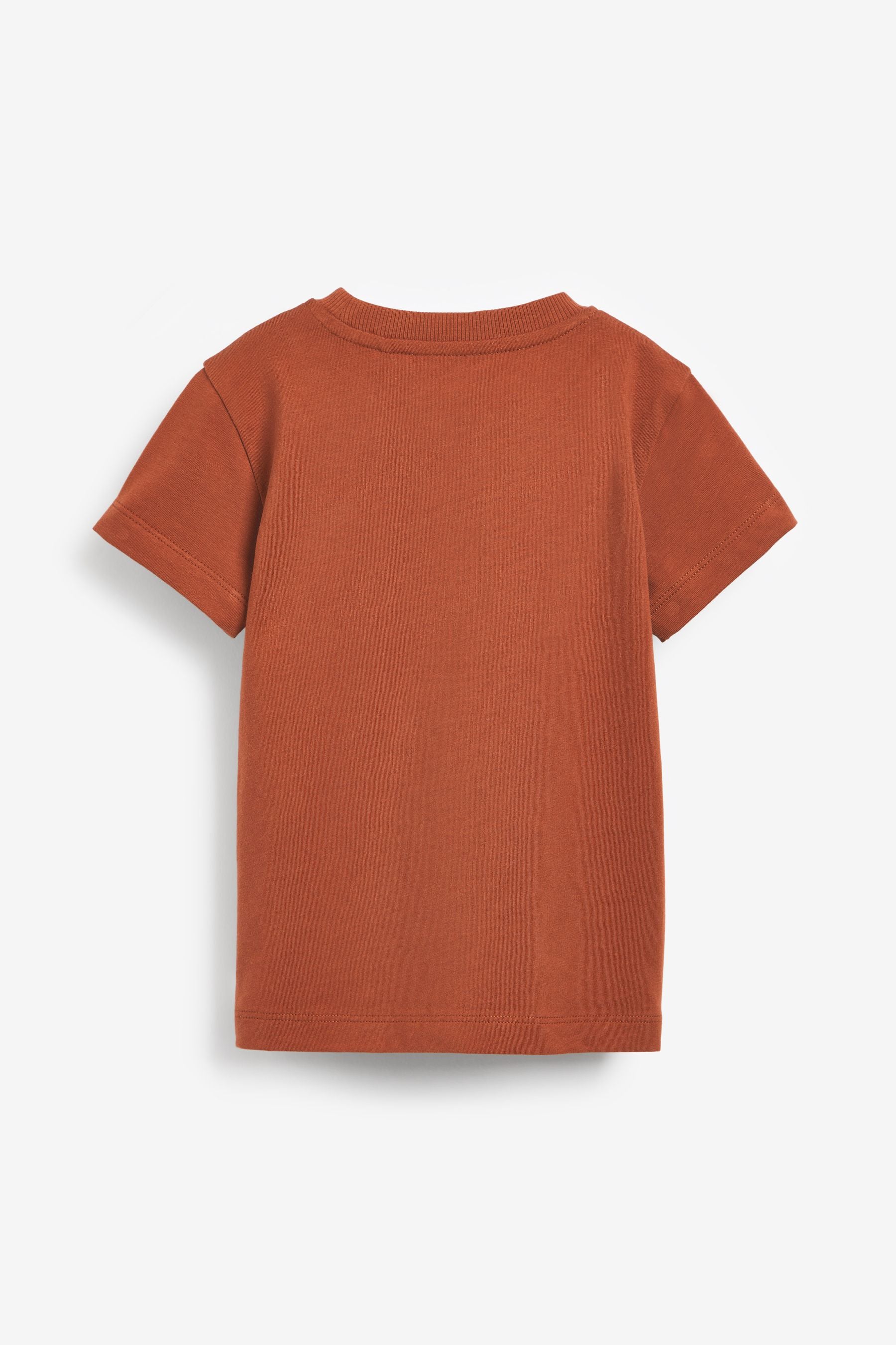 Rust Brown Nirvana Short Sleeve T-Shirt (3mths-8yrs)