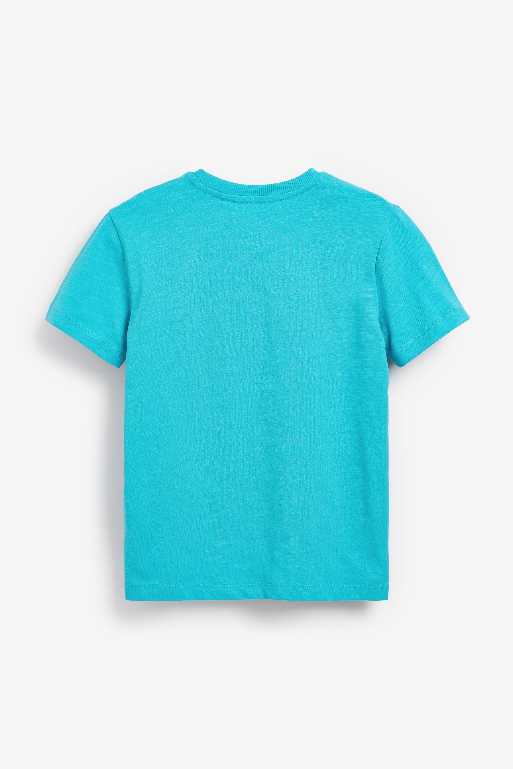 Teal Blue Dinosaur Short Sleeve Graphic T-Shirt (3-16yrs)