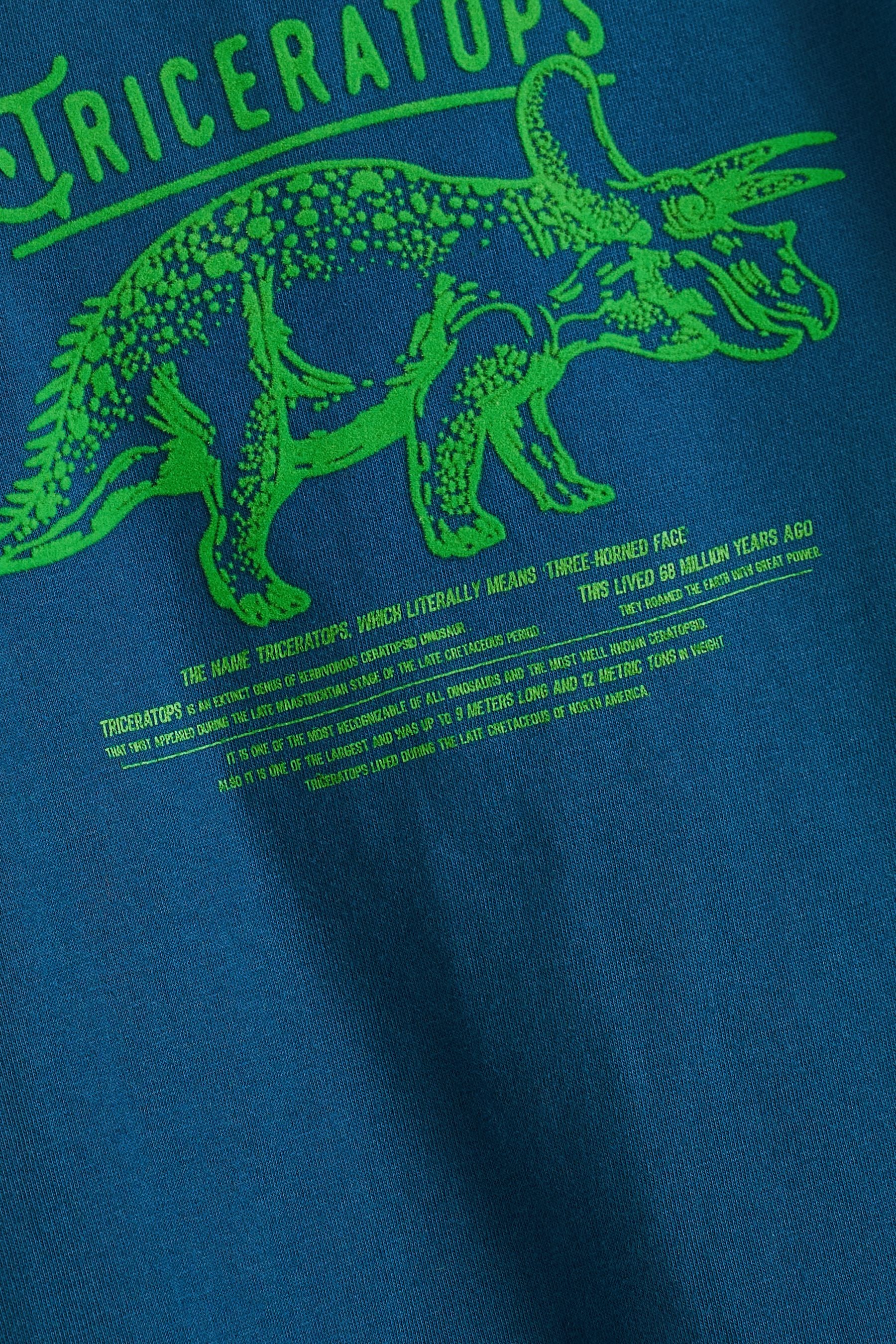 Navy Triceratops Short Sleeve Graphic T-Shirt (3-16yrs)