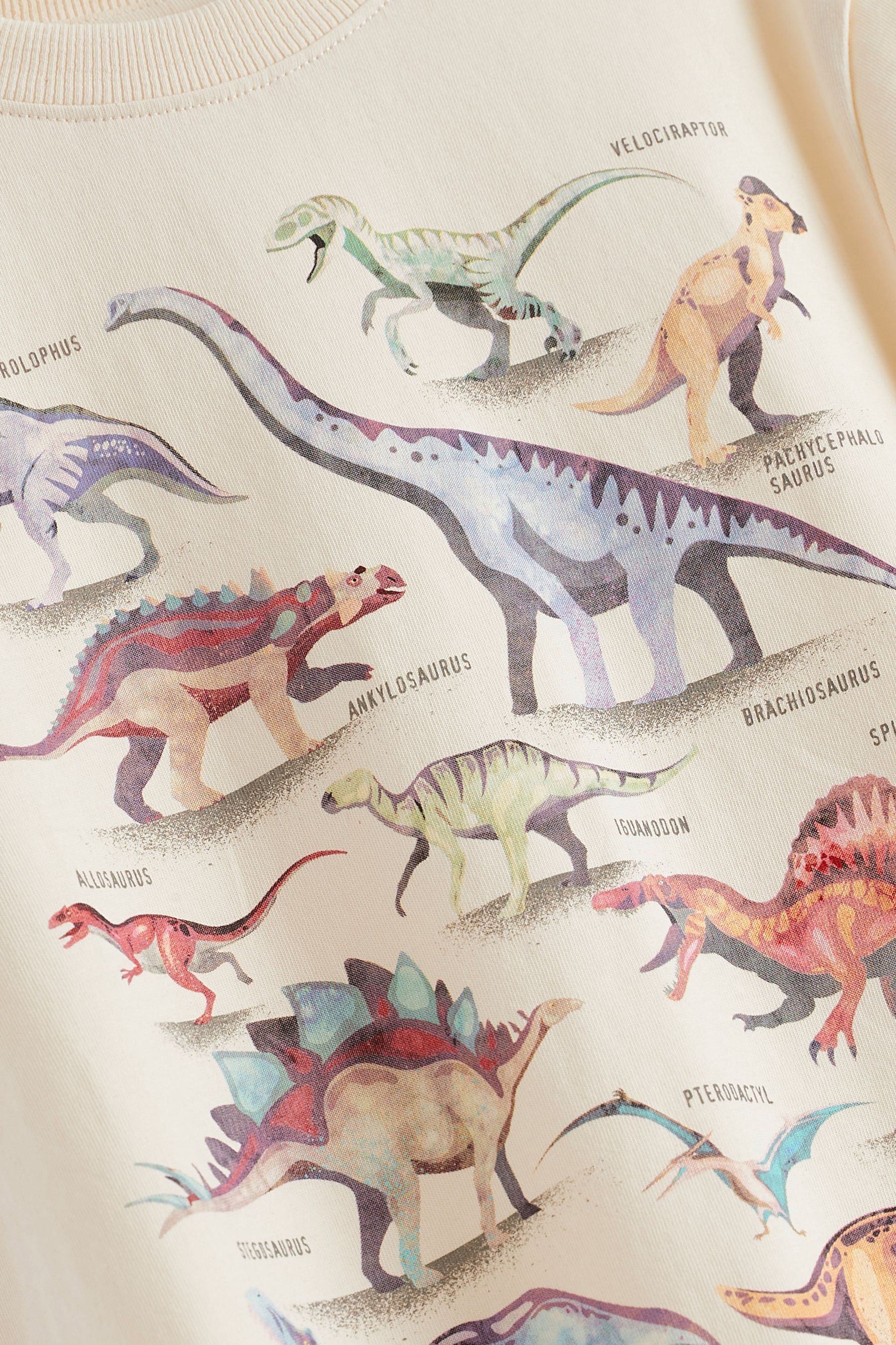 Cream Dinosaurs Short Sleeve Graphic T-Shirt (3-16yrs)