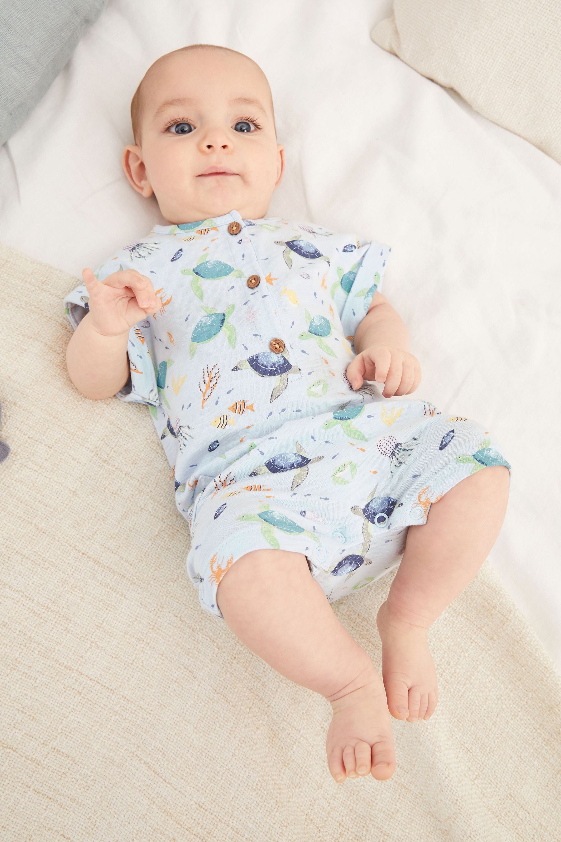 FatFace Baby Blue Crew Short Turtle Romper