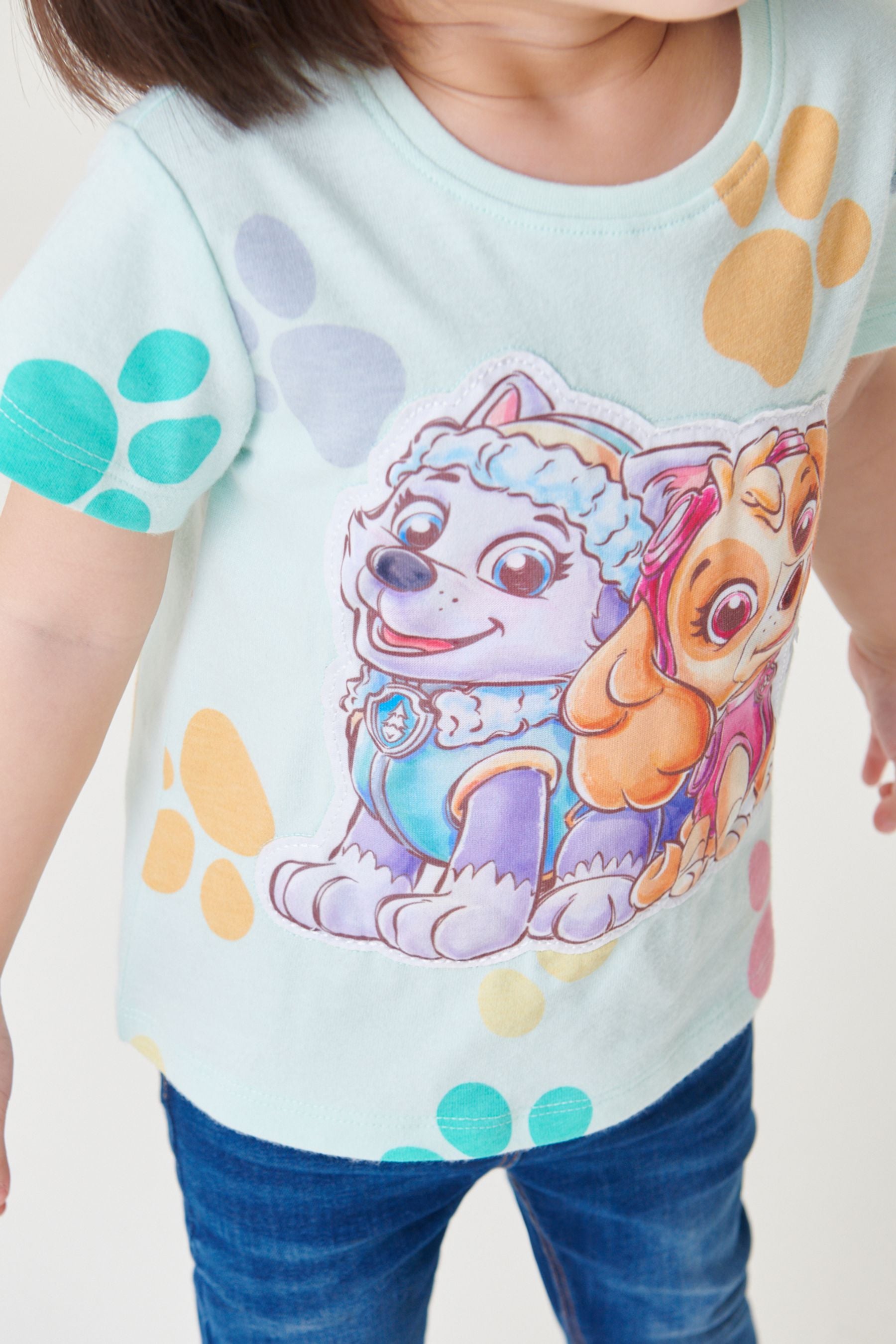 Blue Paw Patrol Character T-Shirt (3mths-7yrs)