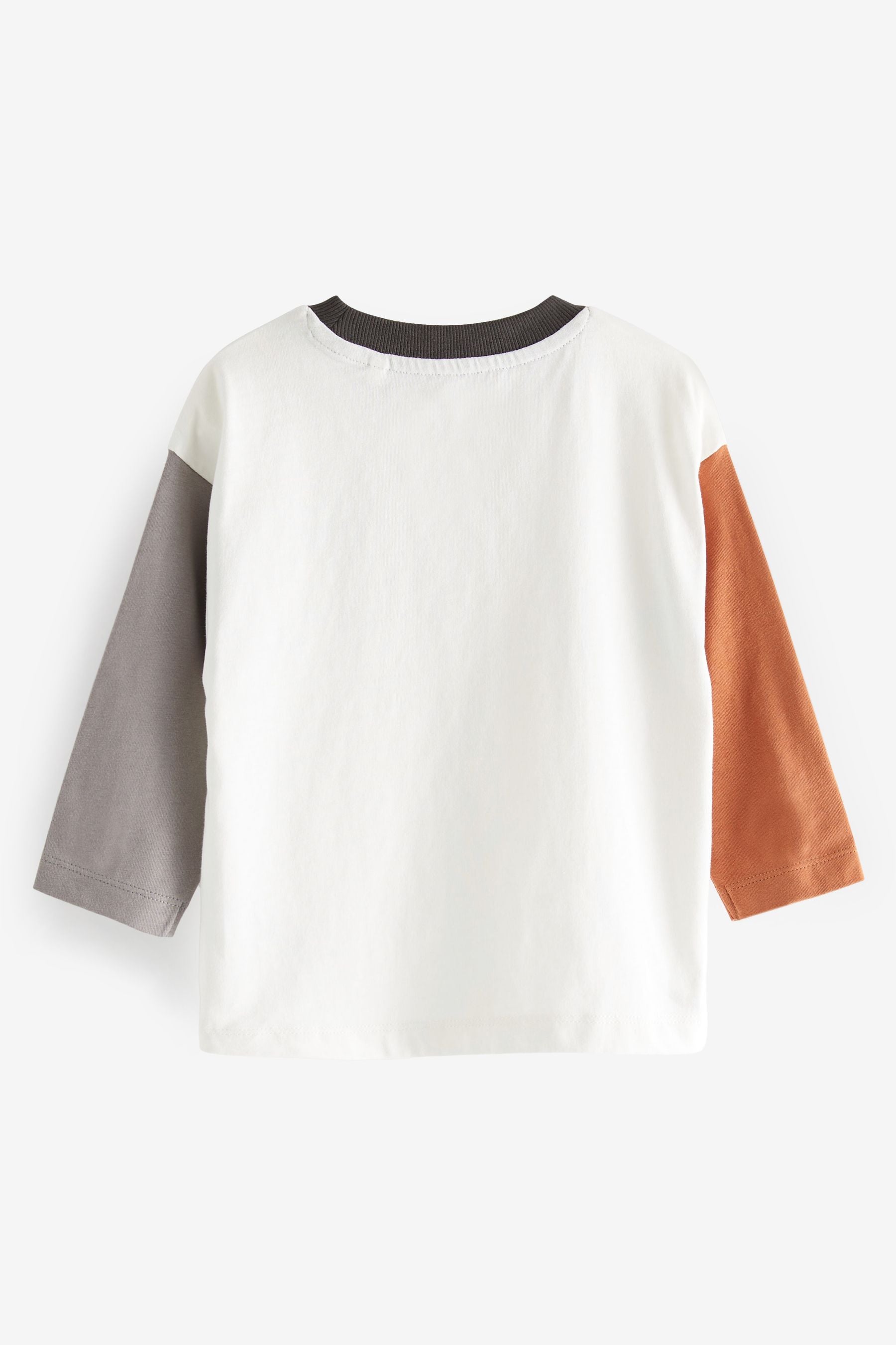 White/Rust Brown Have Fun Long Sleeve Slogan T-Shirt (3mths-7yrs)