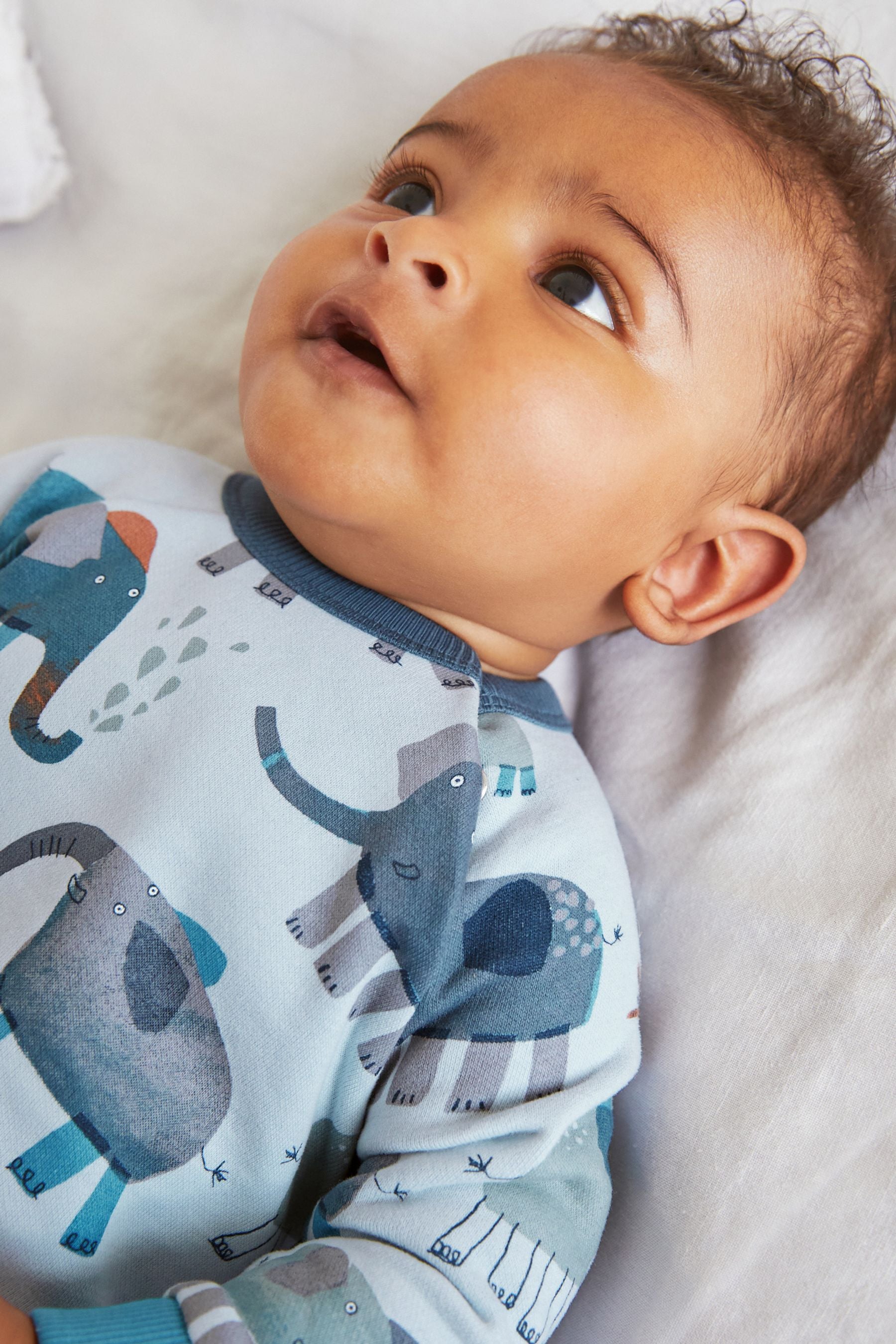 Blue Elephant Baby Brushed Back Sweat Rompersuit