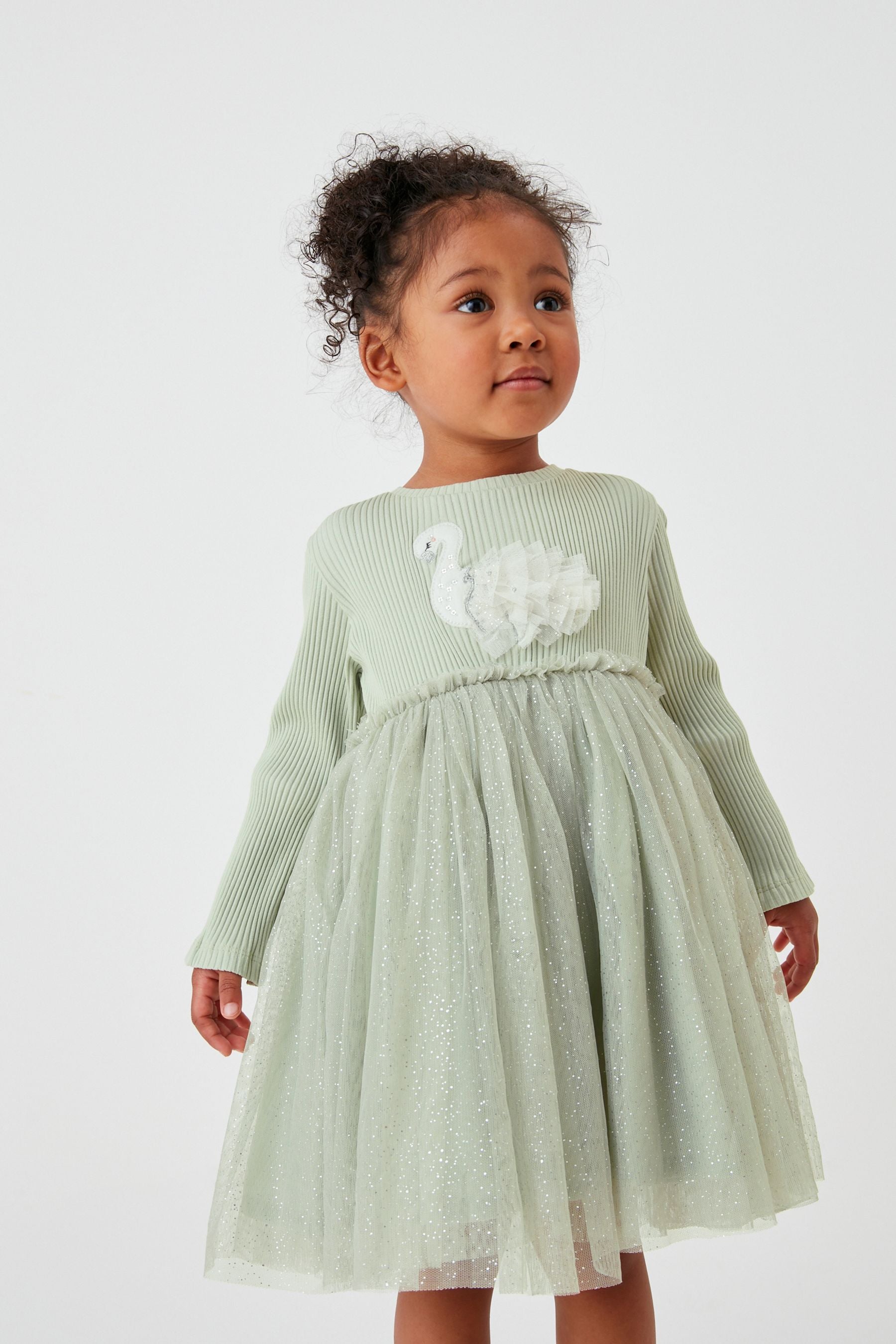 Mint Green Swan Next Mesh Party Dress (3mths-7yrs)