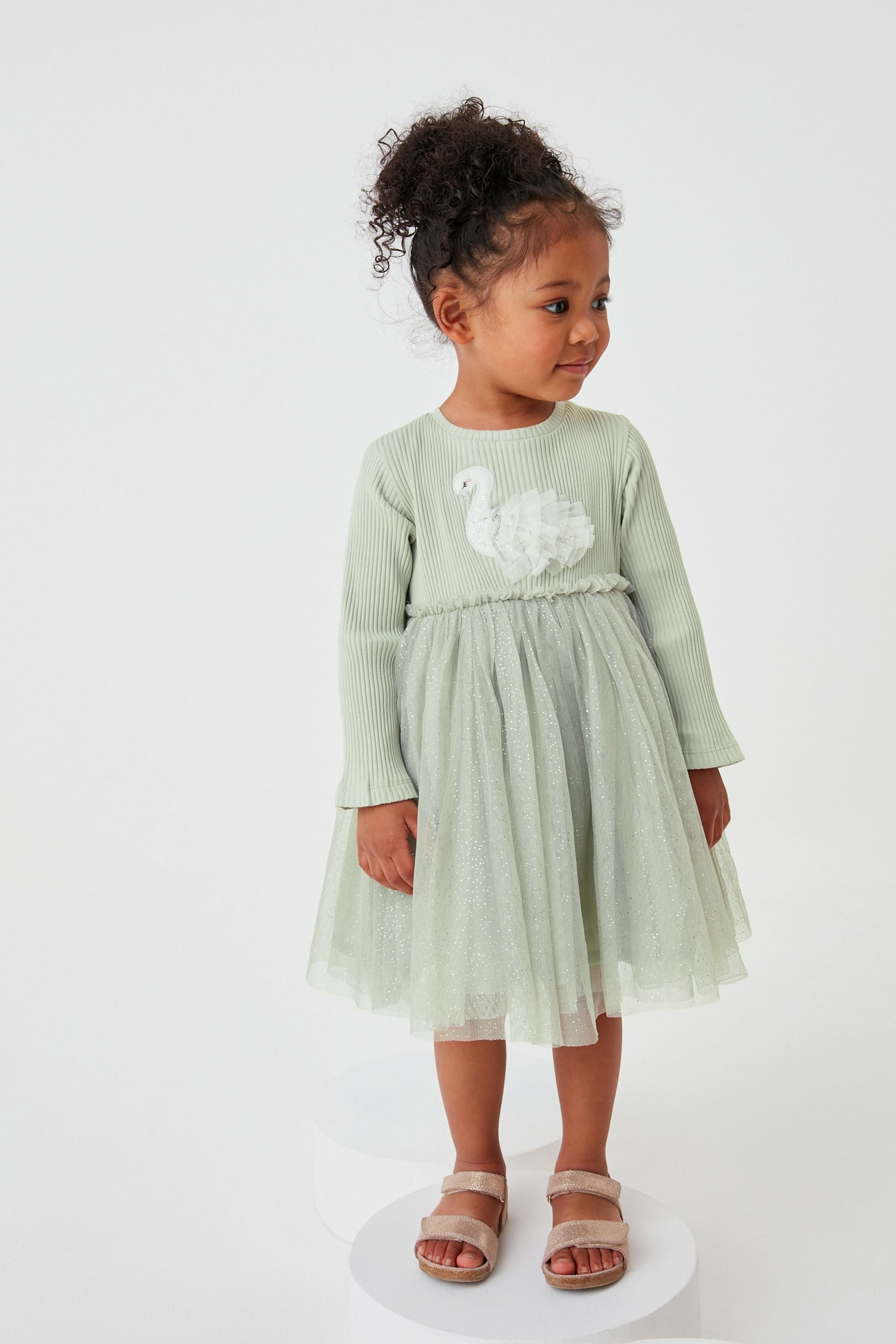 Mint Green Swan Next Mesh Party Dress (3mths-7yrs)