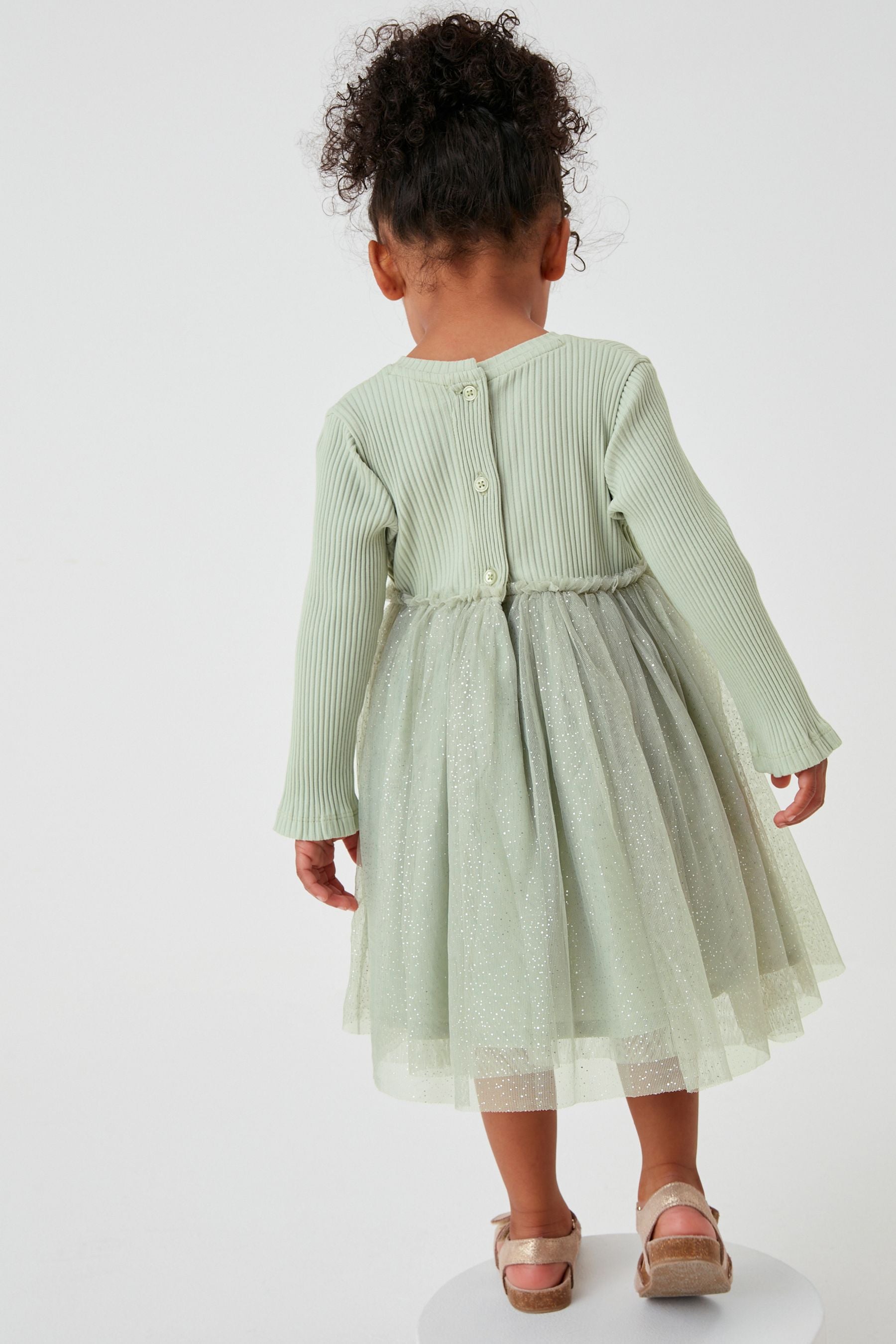 Mint Green Swan Next Mesh Party Dress (3mths-7yrs)