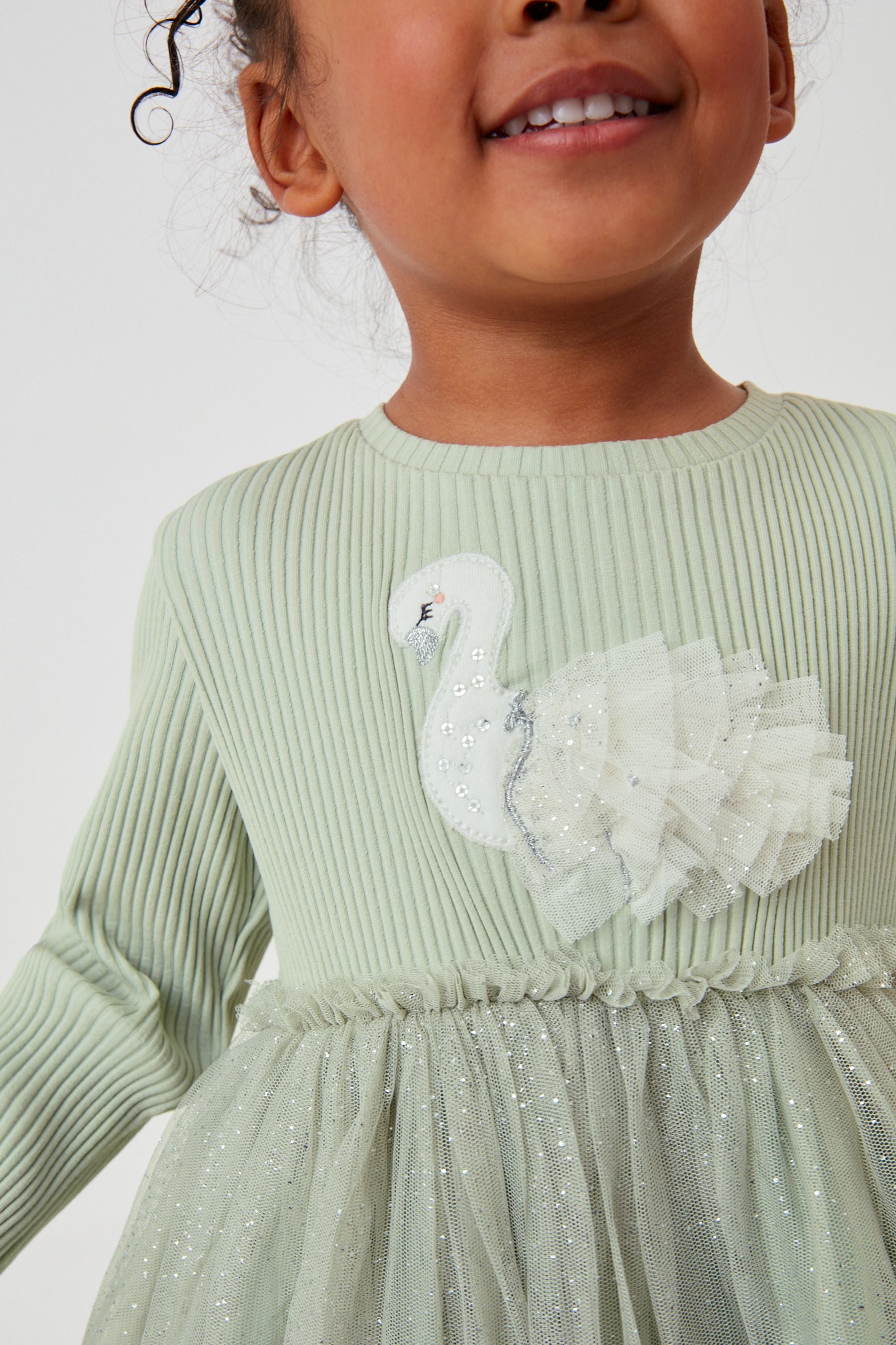 Mint Green Swan Next Mesh Party Dress (3mths-7yrs)