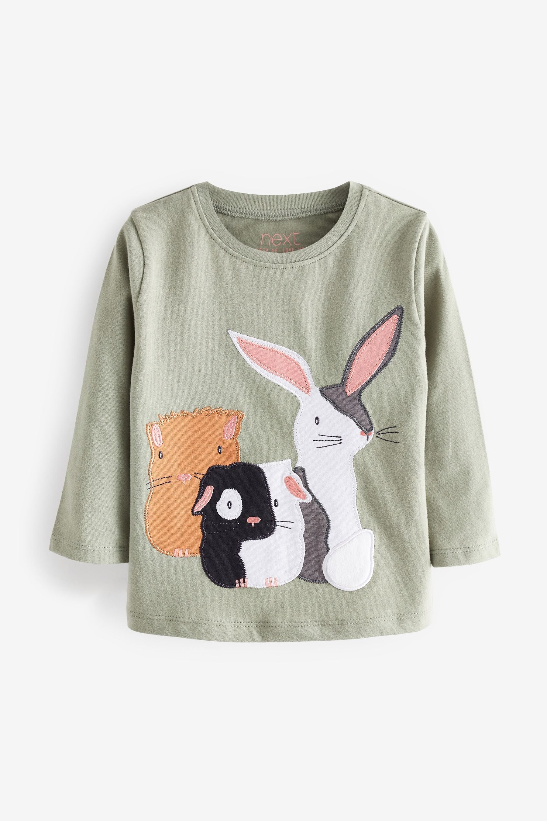 Sage Green Guinea Pig Long Sleeve Cotton T-Shirt (3mths-7yrs)