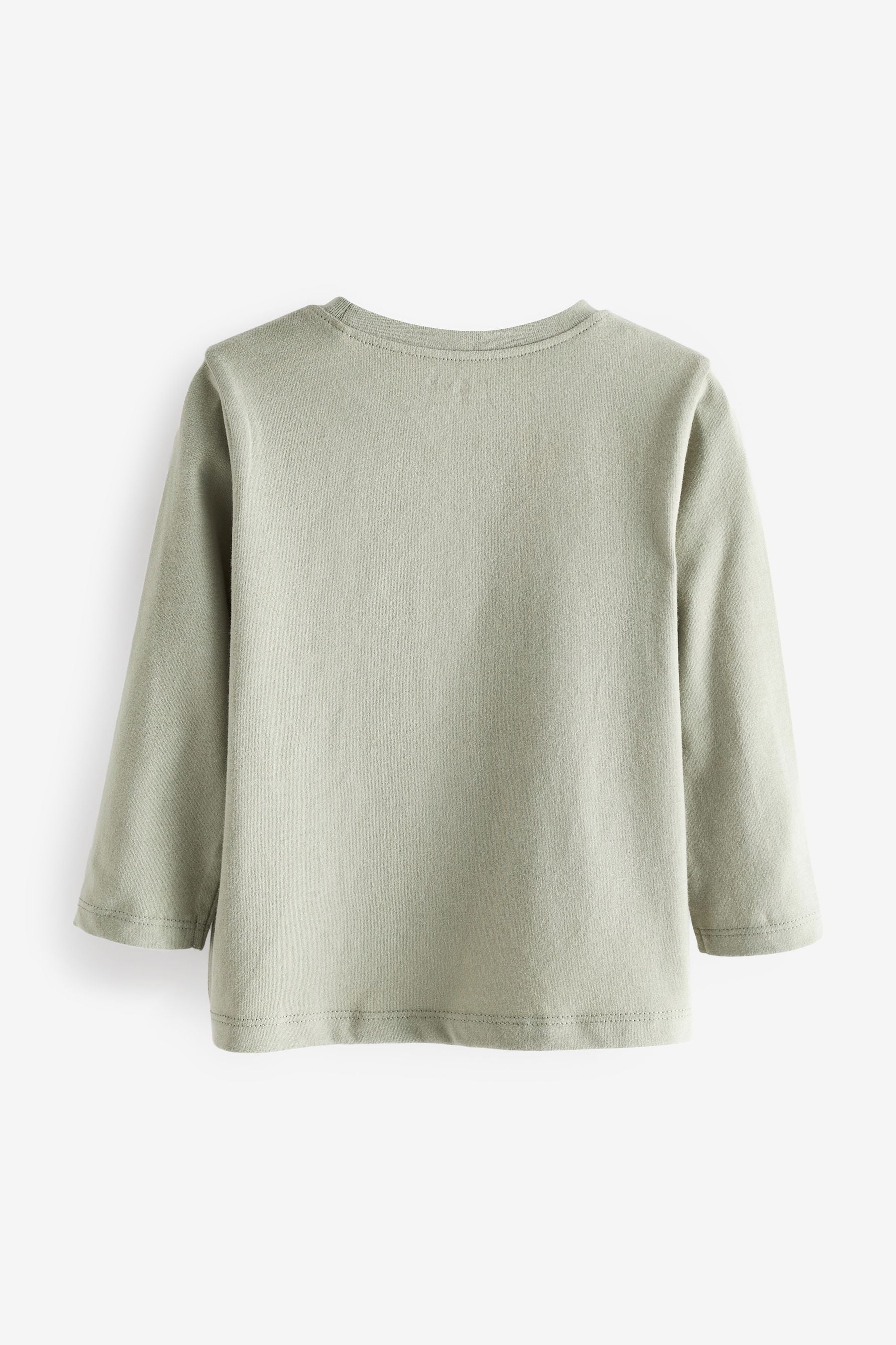 Sage Green Guinea Pig Long Sleeve Cotton T-Shirt (3mths-7yrs)