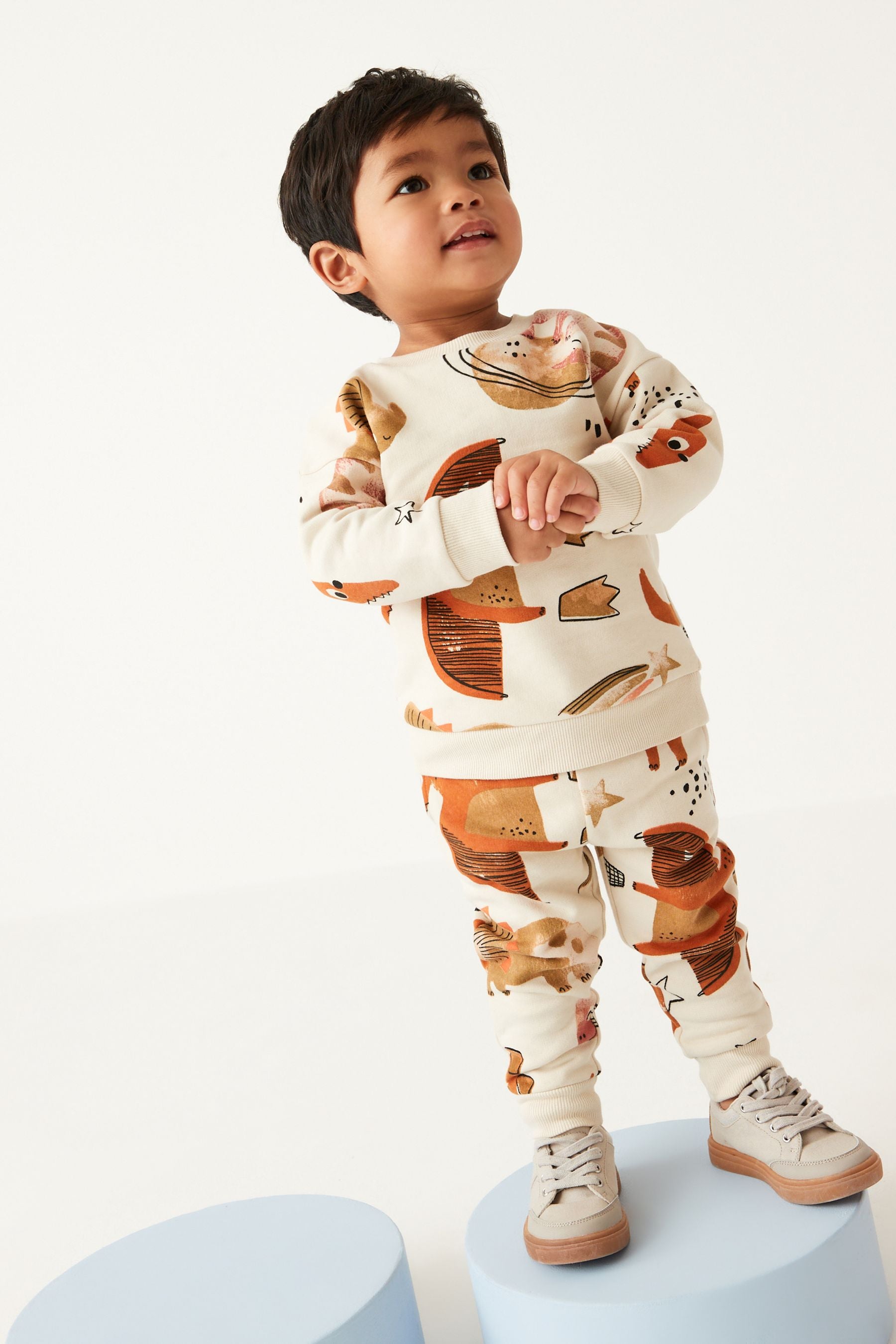 Stone Dinosaur All-Over Print Jersey Sweatshirt And Joggers Set (3mths-7yrs)