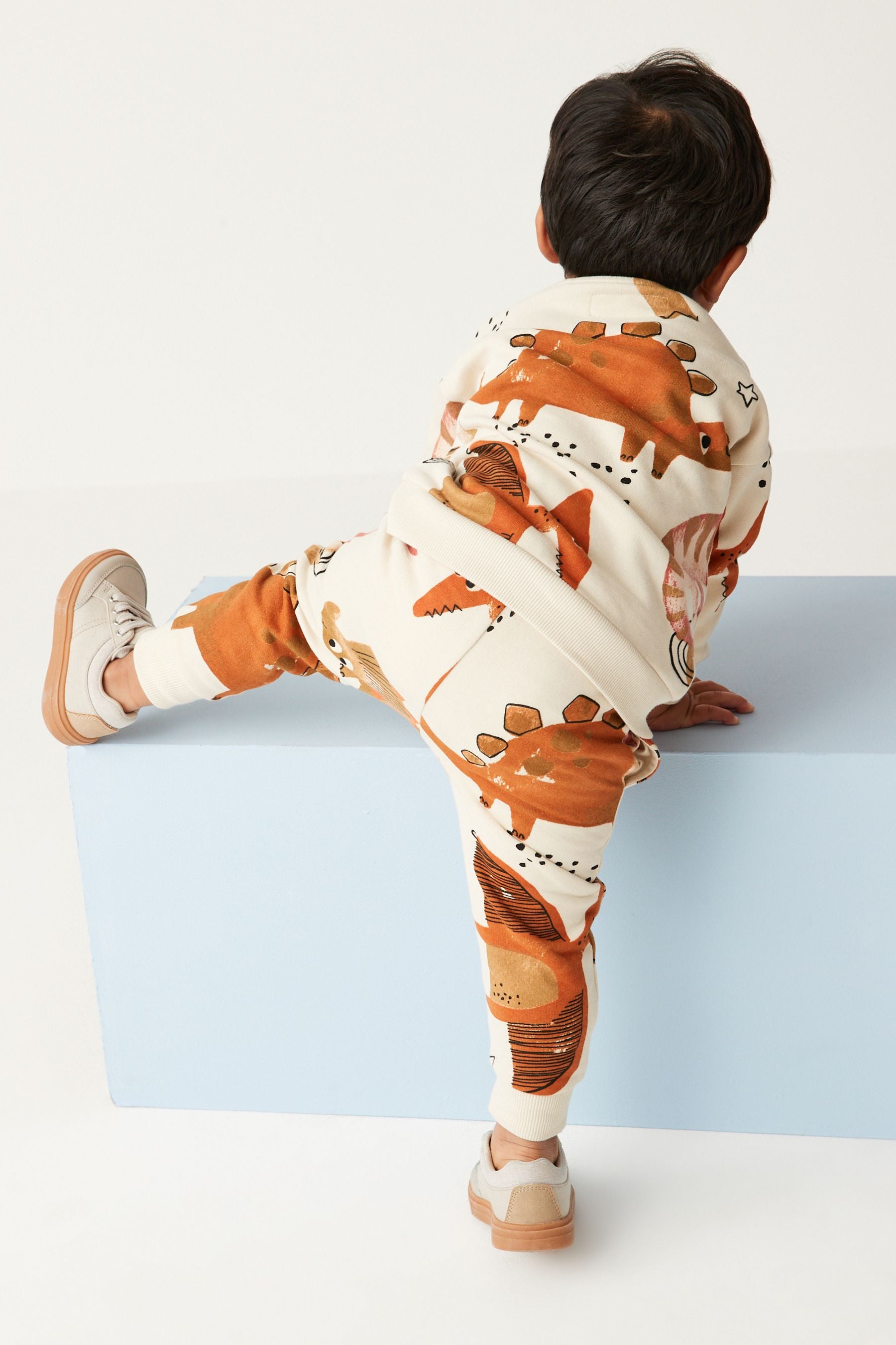 Stone Dinosaur All-Over Print Jersey Sweatshirt And Joggers Set (3mths-7yrs)