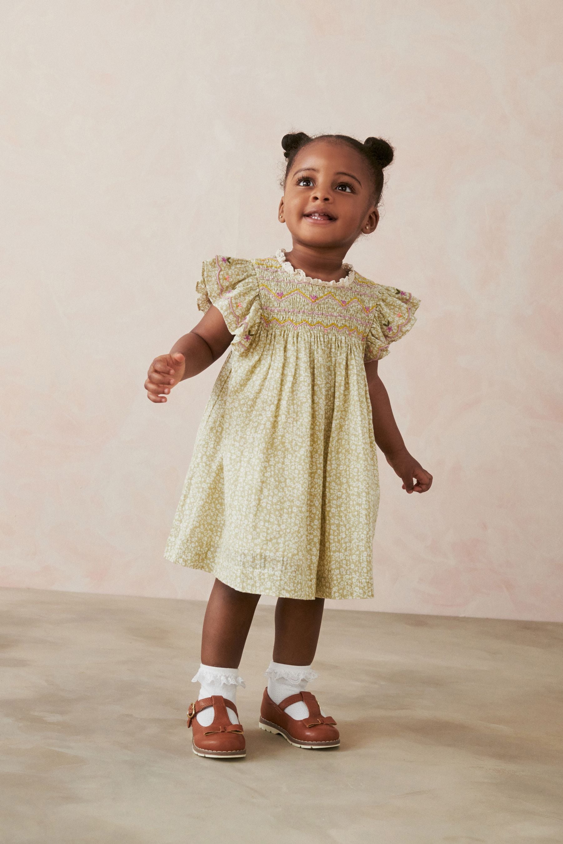 Sage Green Embroidered Shirred Frill Sleeve Dress (3mths-8yrs)