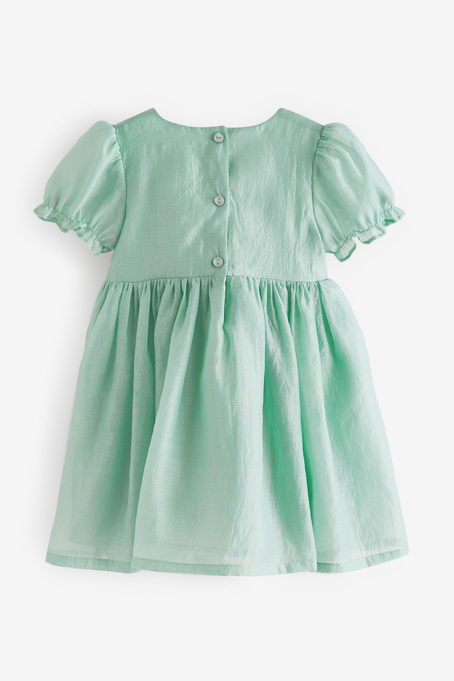 Mint Green Corsage Flower Girl Dress (3mths-8yrs)