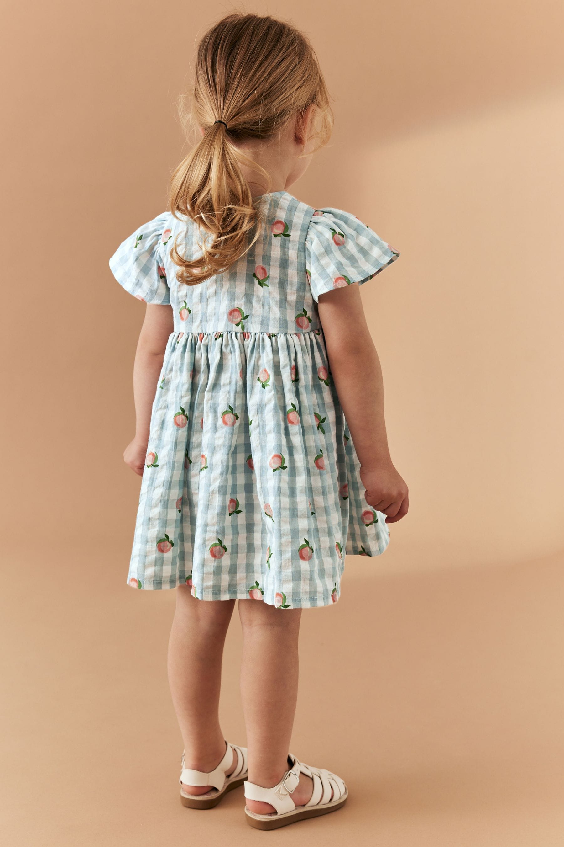 Blue Gingham Cotton Button Up Dress (3mths-8yrs)