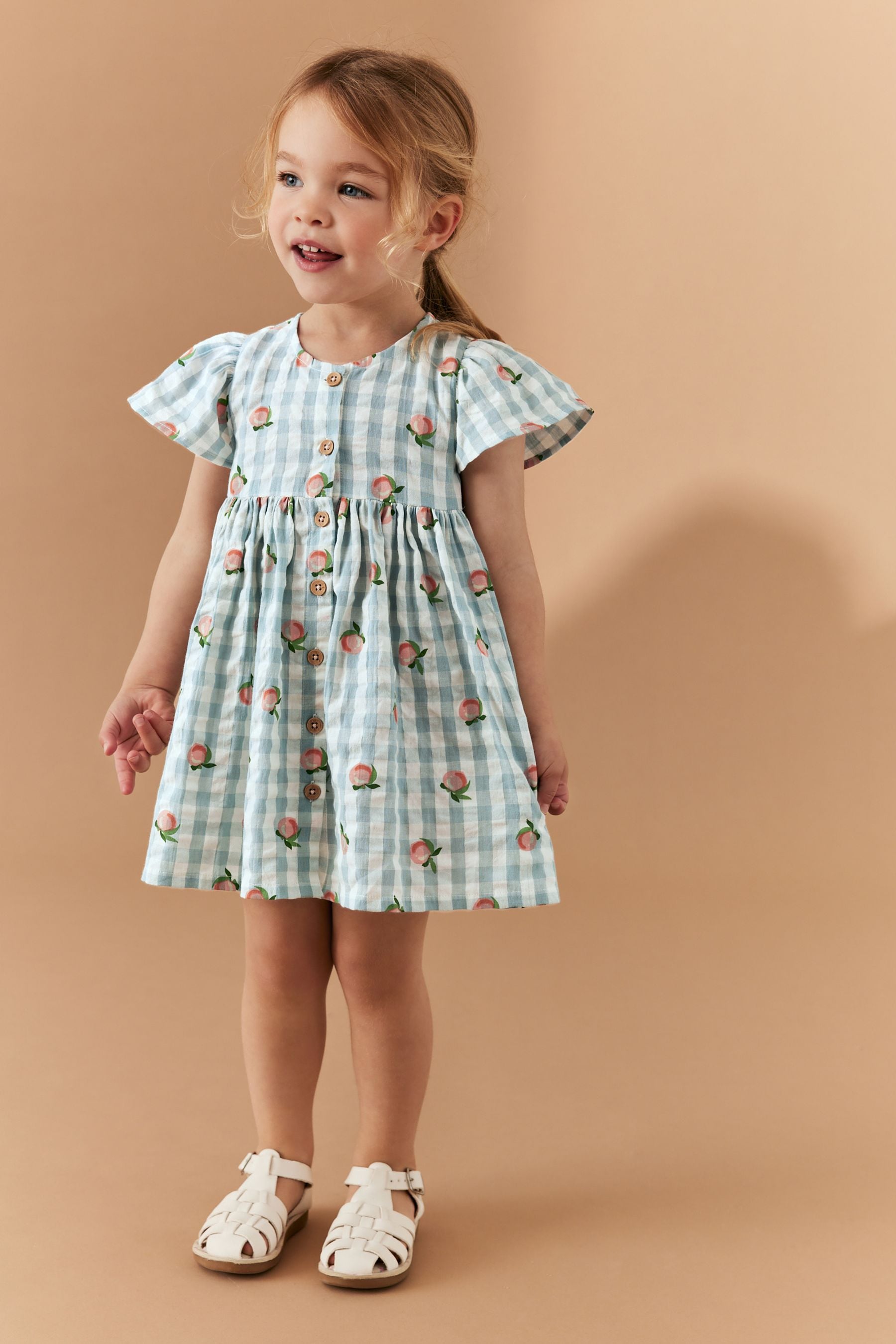 Blue Gingham Cotton Button Up Dress (3mths-8yrs)