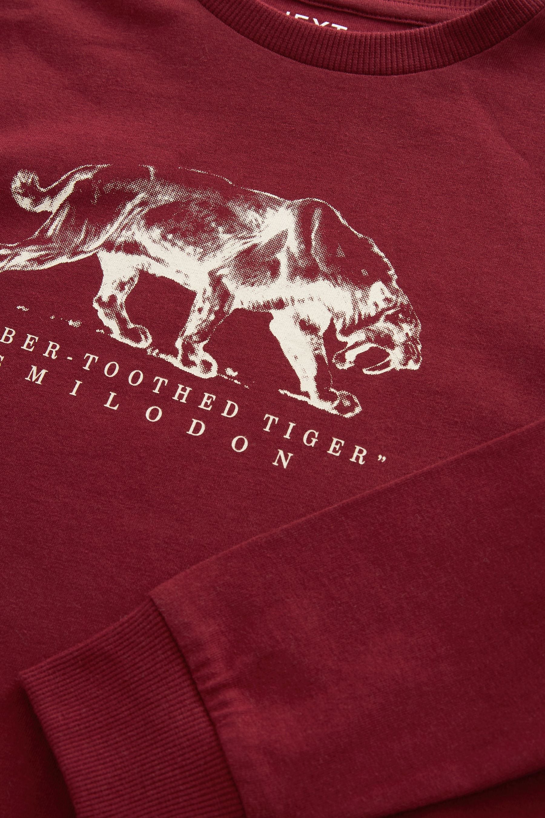 Berry Red Tiger Long Sleeve Graphic T-Shirt (3-16yrs)