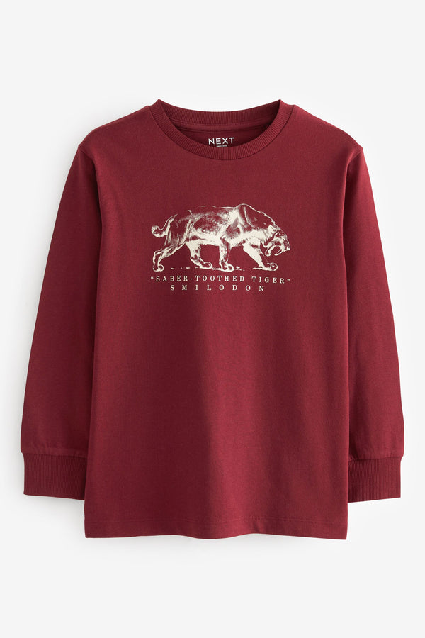 Berry Red Tiger Long Sleeve Graphic T-Shirt (3-16yrs)