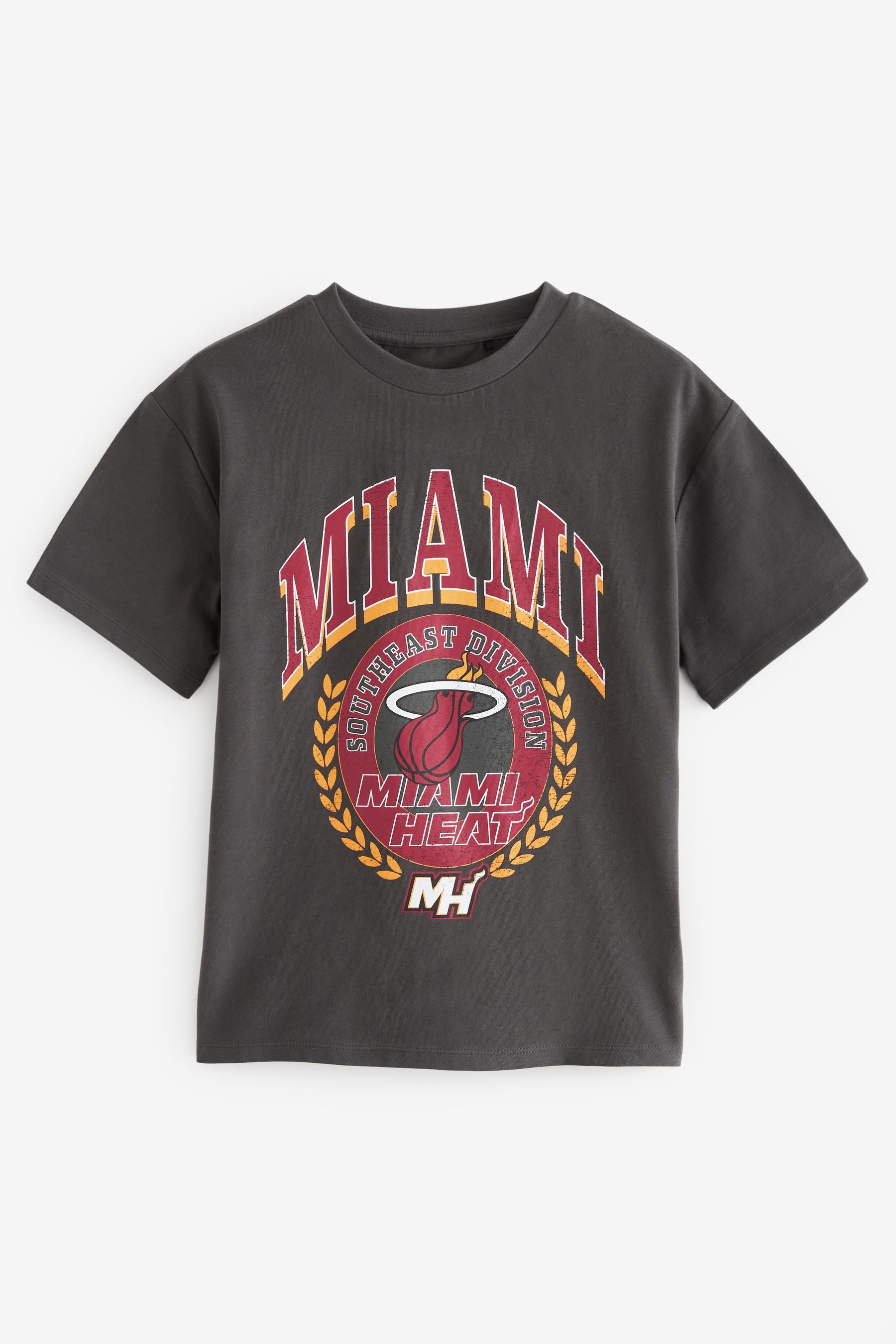 Miami Heat Grey NBA Oversized License T-Shirt (3-16yrs)