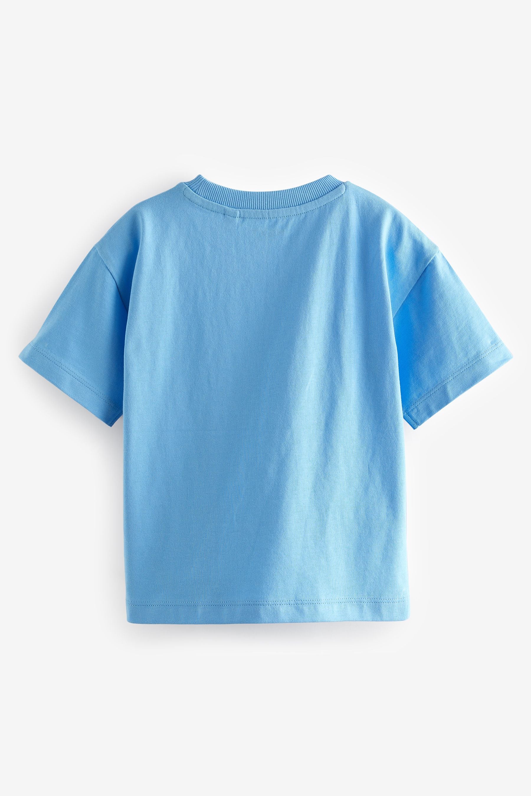 Blue/Green Short Sleeve Character T-Shirt (3mths-7yrs)