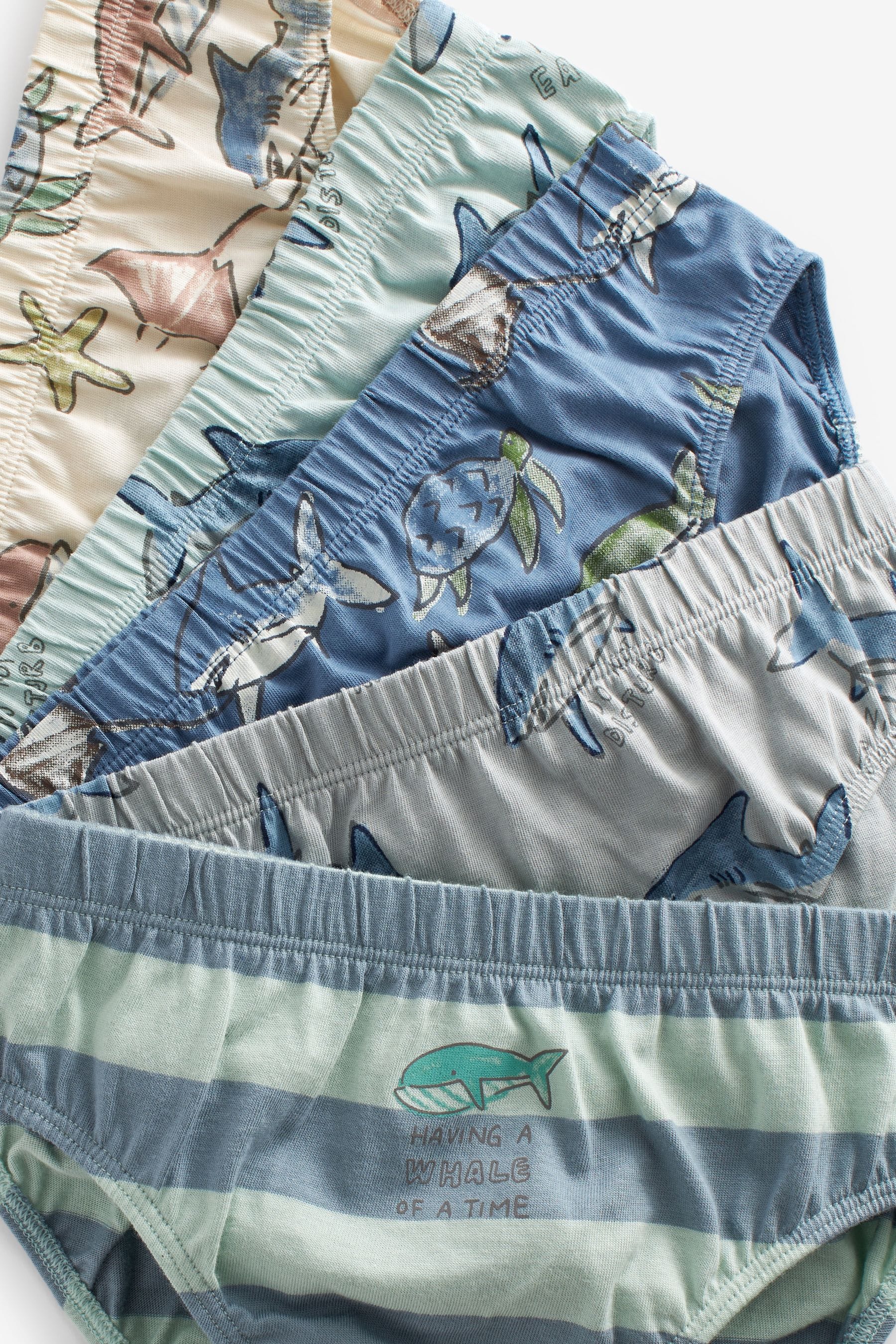 Shark Print Briefs 5 Pack (1.5-10yrs)