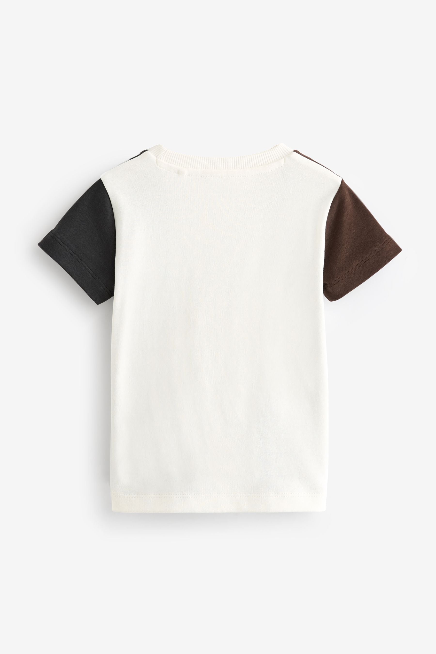 Grey/Brown Short Sleeve Colourblock T-Shirt (3mths-7yrs)