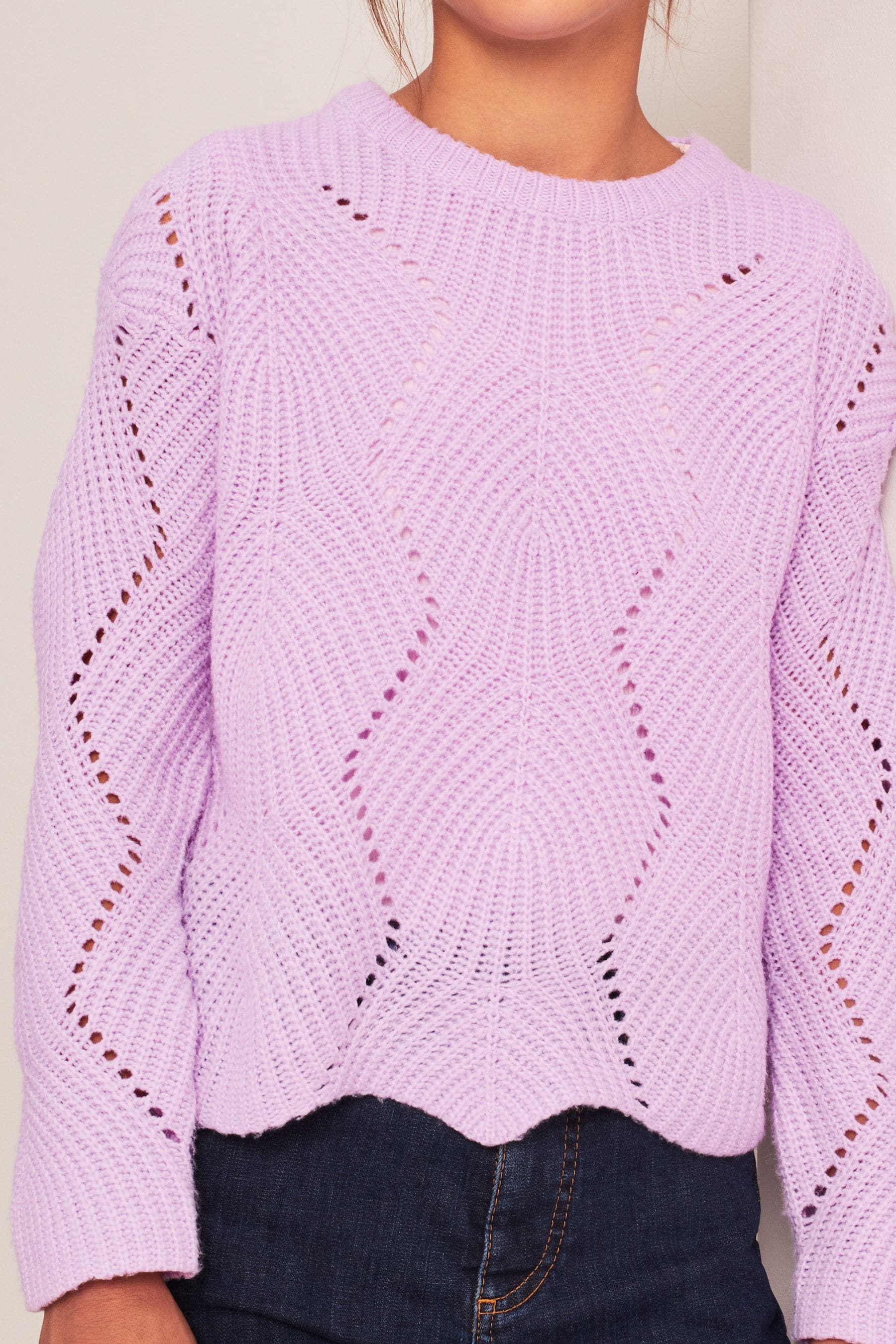 Purple Lipsy Scallop Stitch Jumper