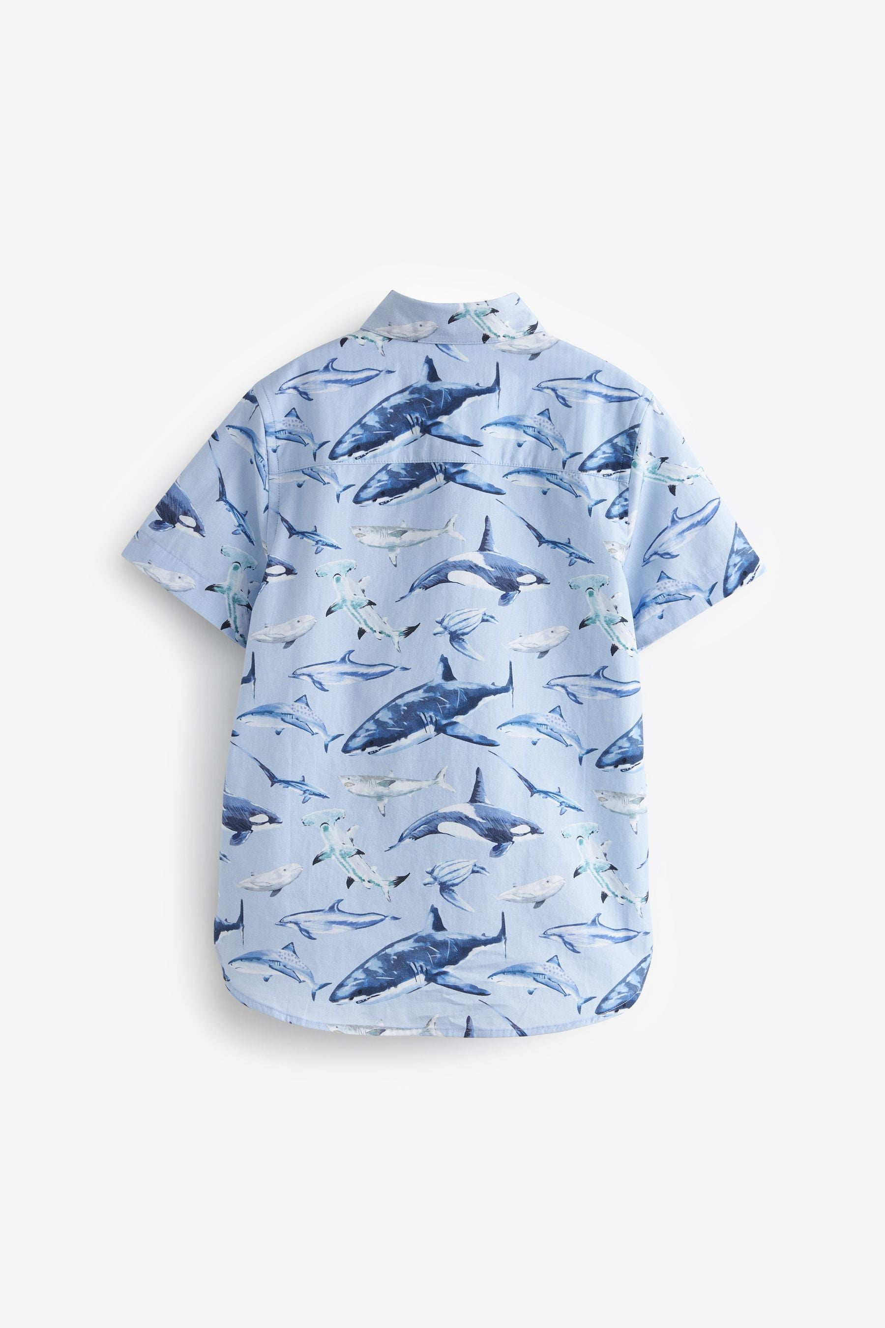 Blue Shark Short Sleeve Printed Shirt (3-16yrs)