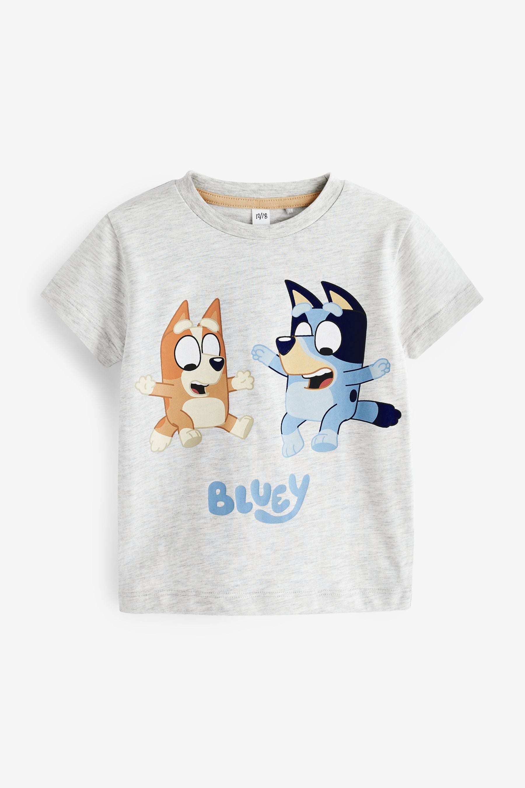 Grey Bluey Short Sleeve T-Shirt (3mths-8yrs)