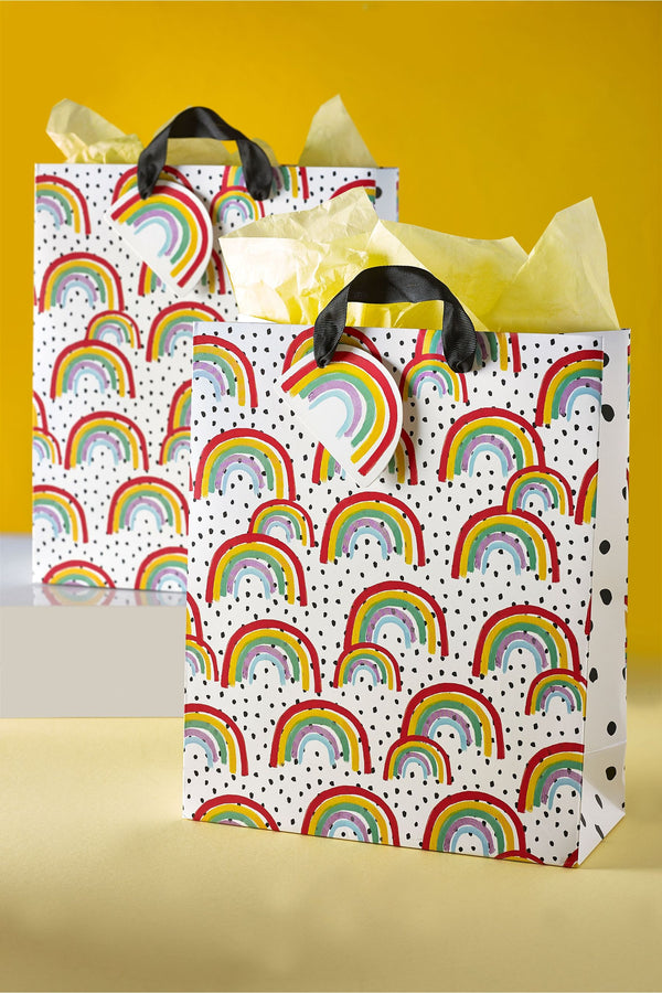 Multi 2 Pack Medium Rainbow Gift Bags