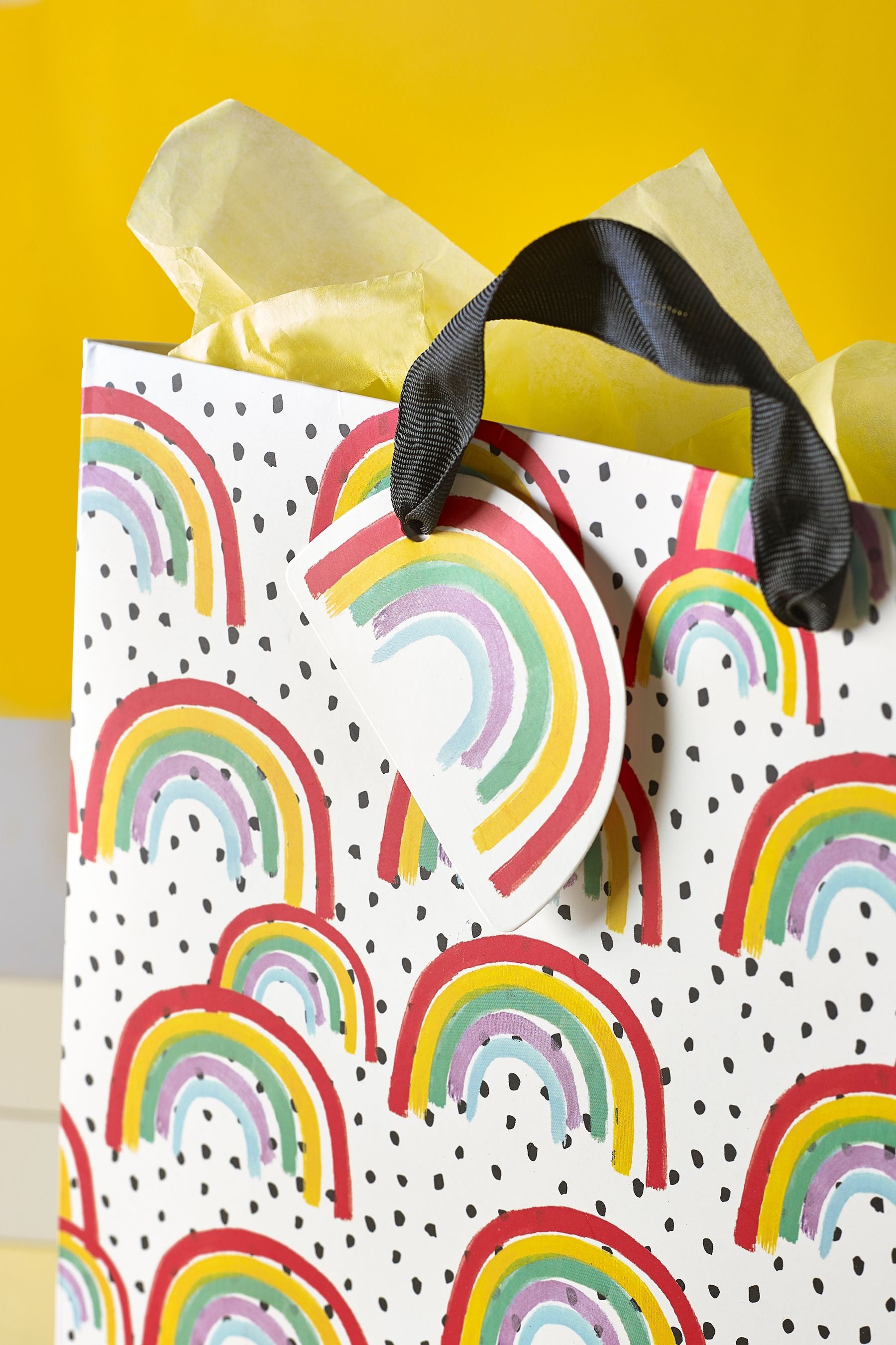 Multi 2 Pack Medium Rainbow Gift Bags