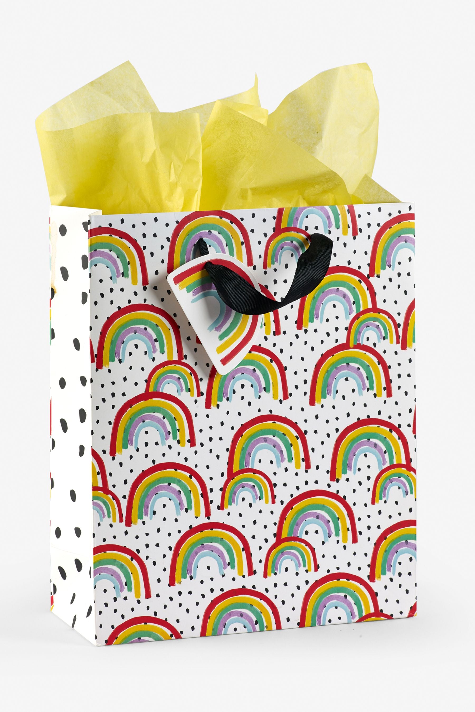 Multi 2 Pack Medium Rainbow Gift Bags