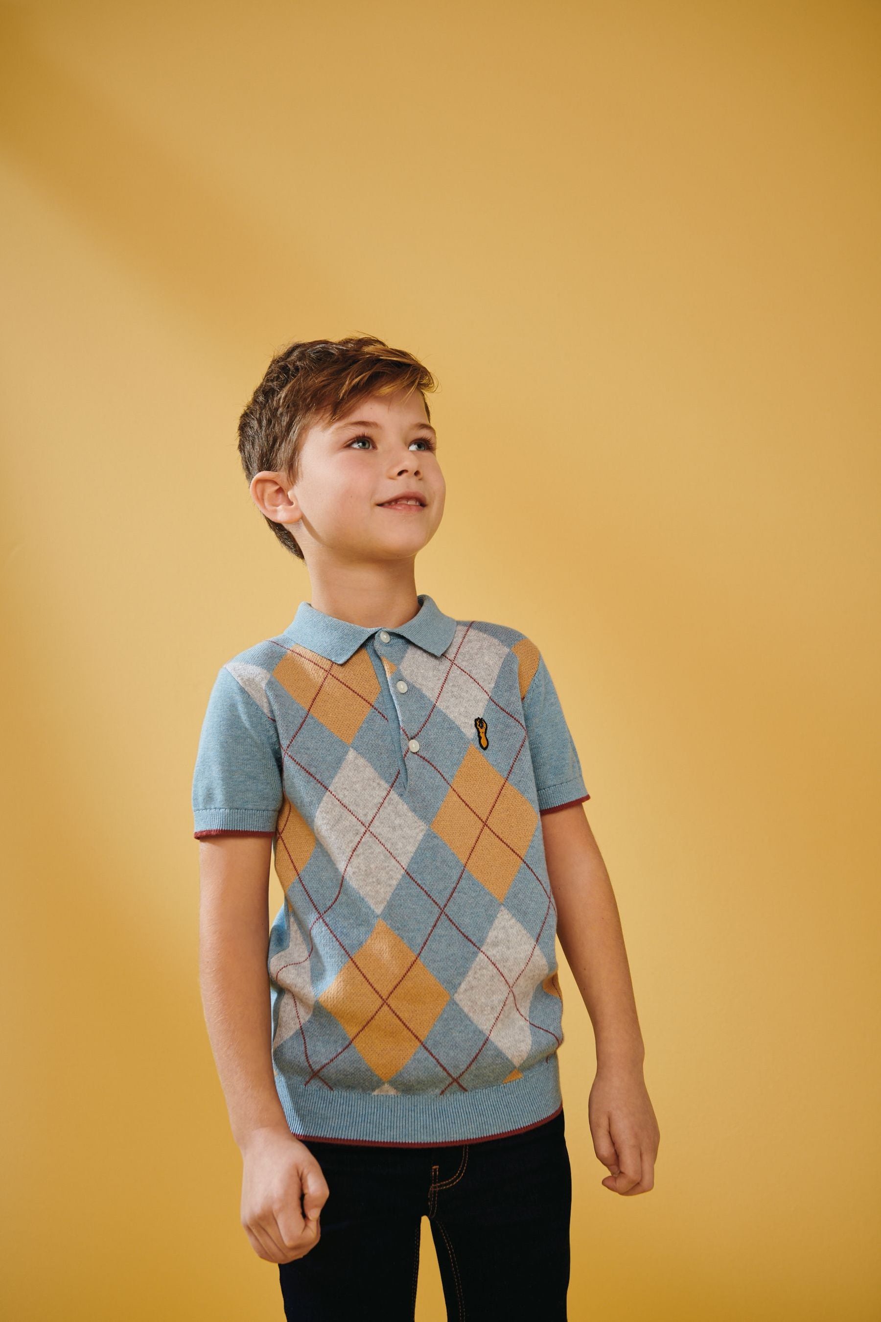 Blue Short Sleeve Knitted  Argyle Pattern Polo Shirt (3-16yrs)