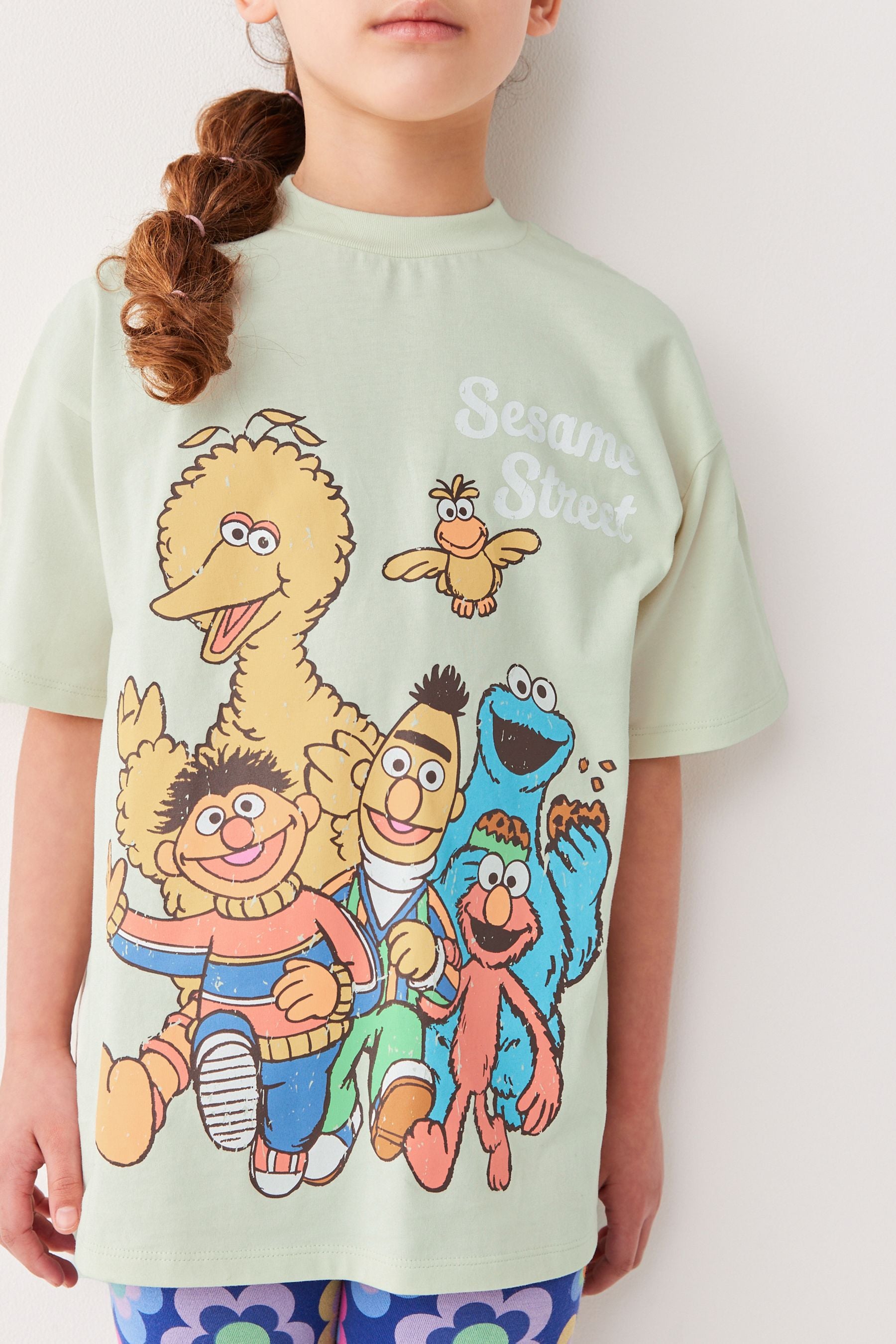 Mint Green Sesame Street Retro License T-Shirt (3-16yrs)