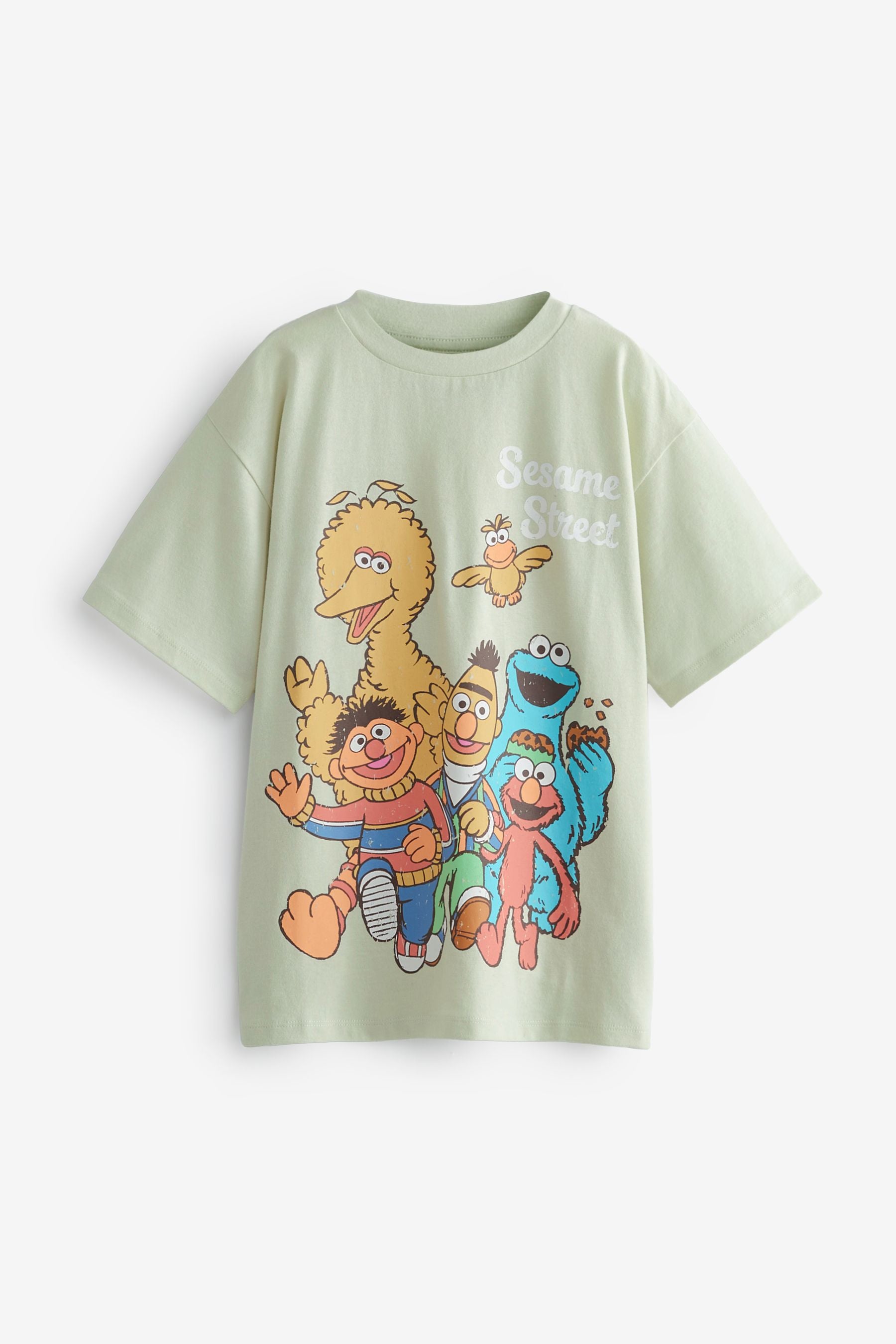 Mint Green Sesame Street Retro License T-Shirt (3-16yrs)