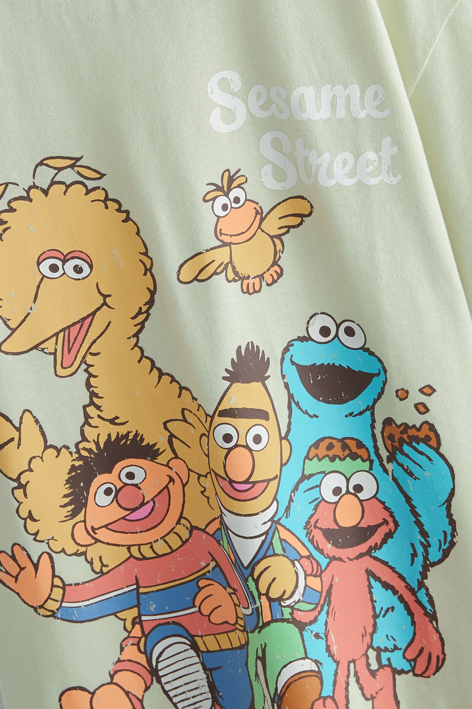 Mint Green Sesame Street Retro License T-Shirt (3-16yrs)