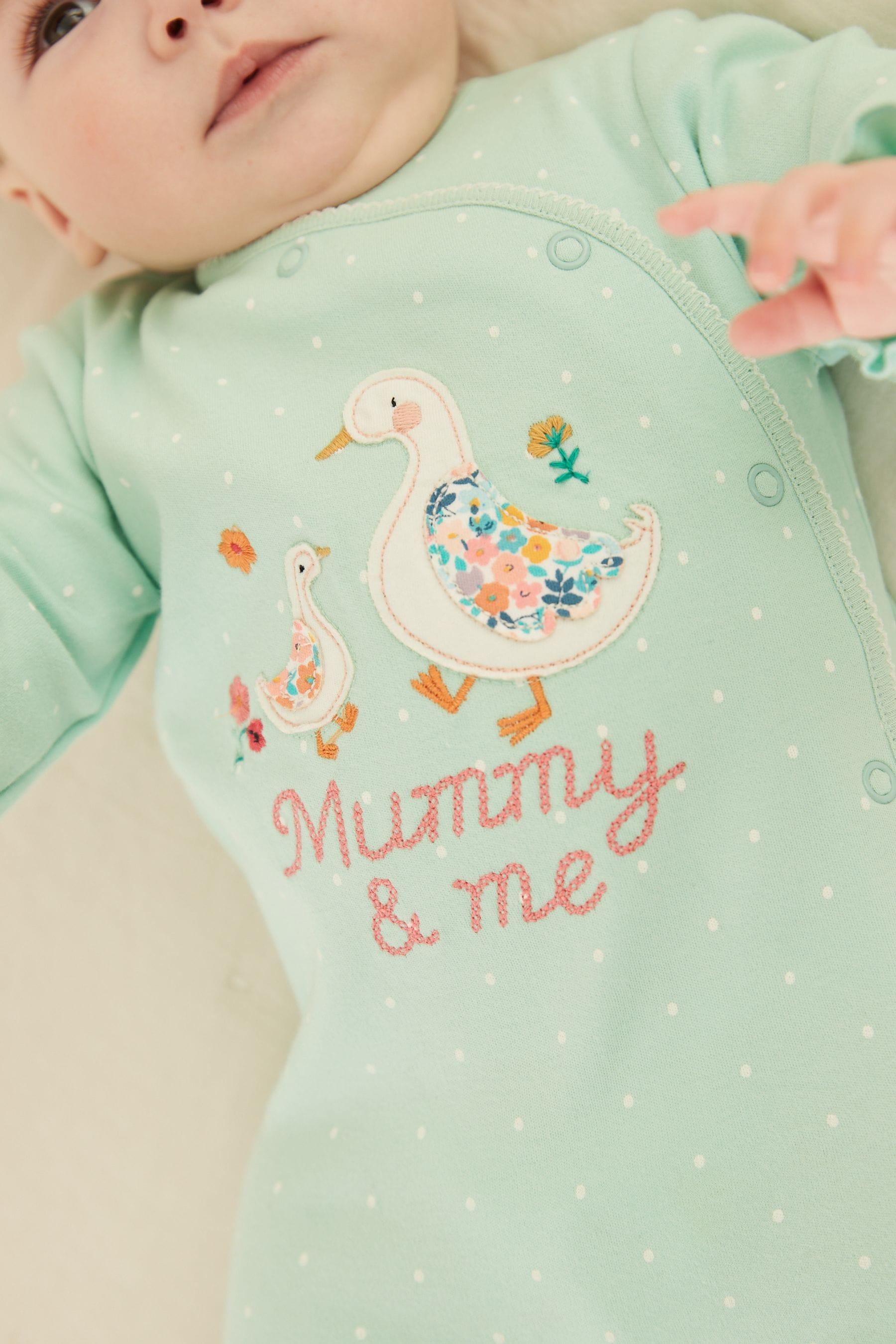 Blue Family Sleepsuit (0-2yrs)