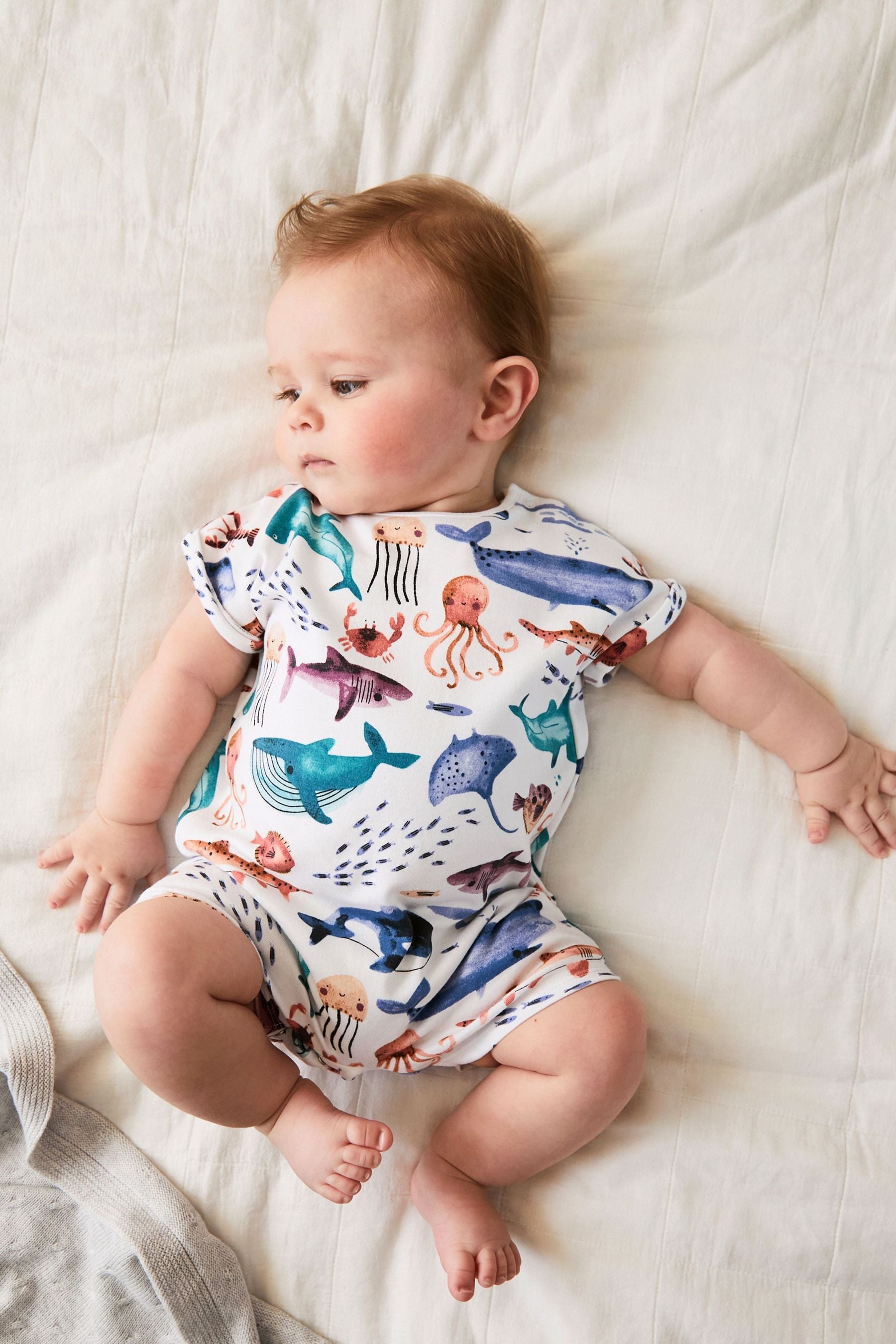 Blue/White Sealife Print Single Romper (0mths-3yrs)