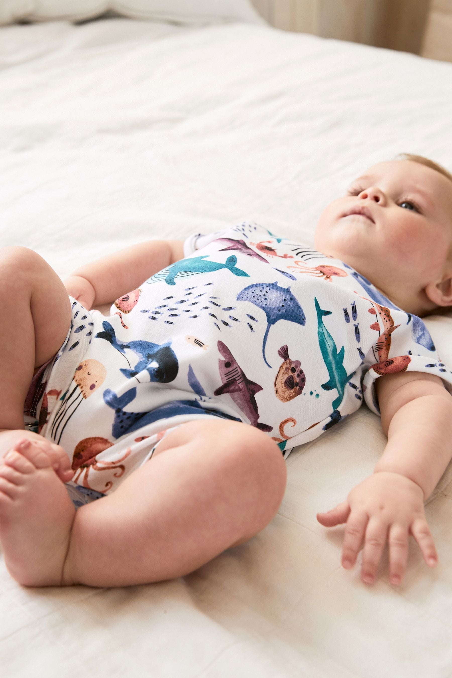 Blue/White Sealife Print Single Romper (0mths-3yrs)