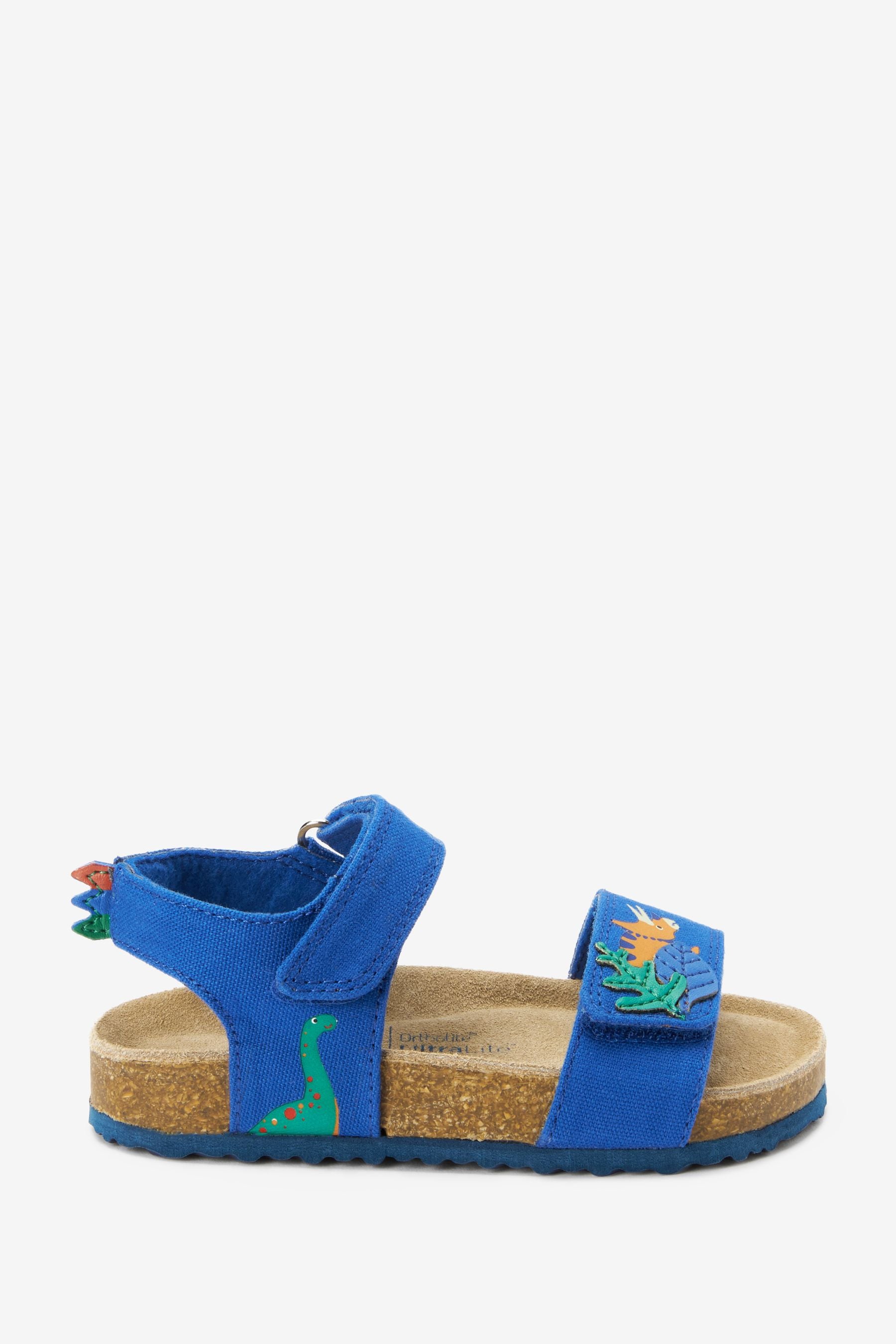 Cobalt Blue Standard Fit (F) Corkbed Comfort Sandals