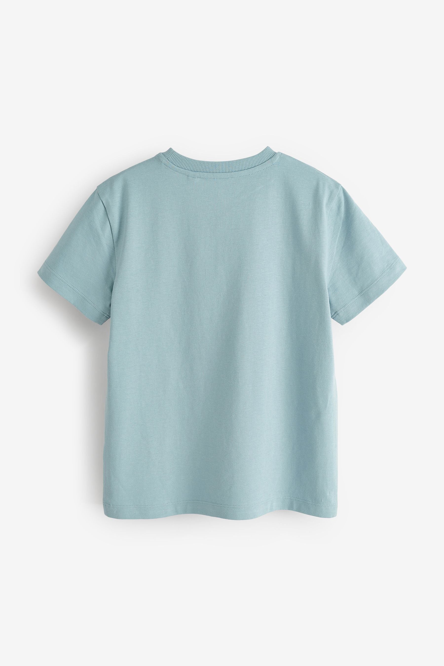 Soft Blue Best Bro Short Sleeve Graphic T-Shirt (3-16yrs)