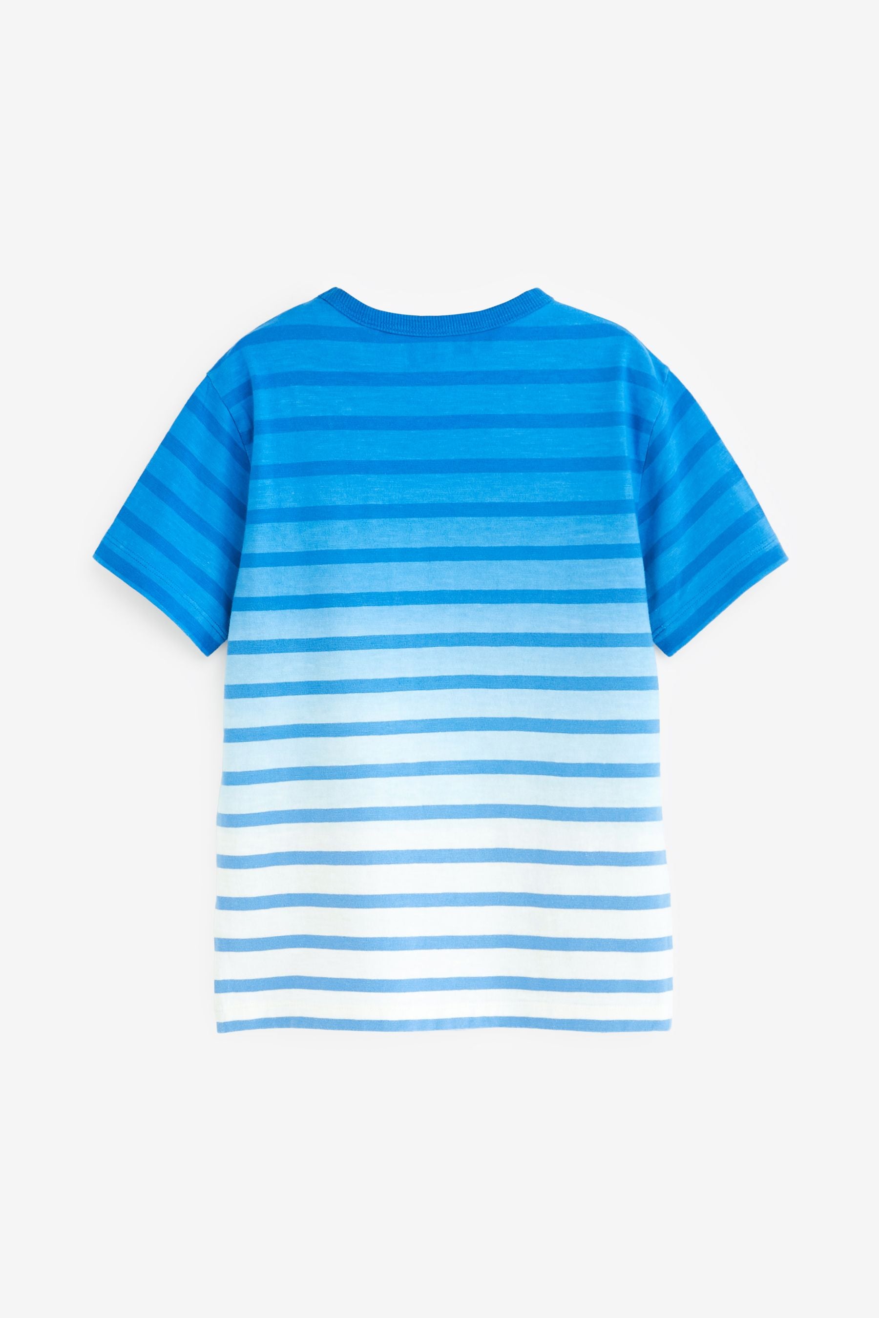 Blue Ombre Stripe Short Sleeve T-Shirt (3-16yrs)