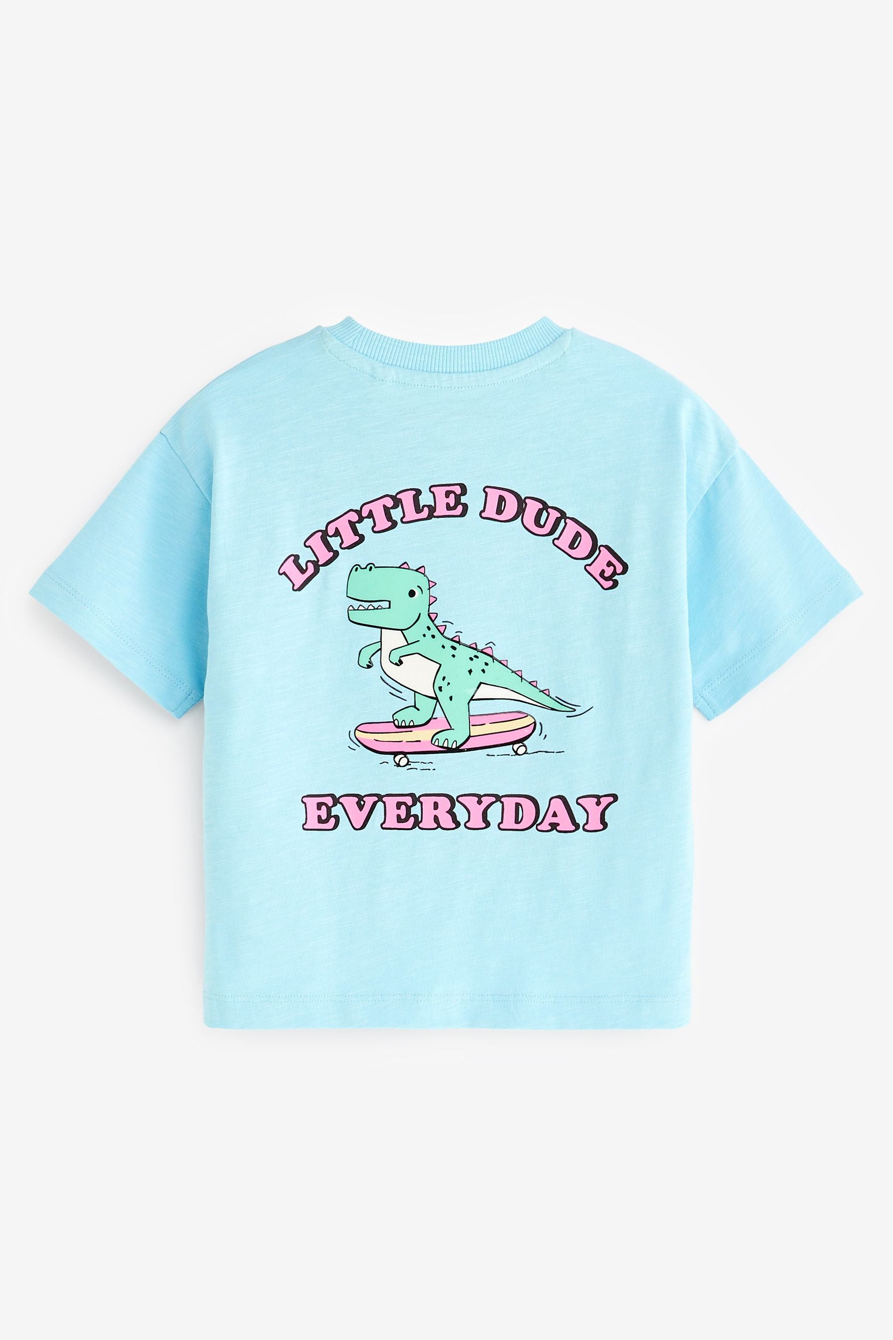 Pale Blue Little Dude Short Sleeve Slogan T-Shirt (3mths-7yrs)