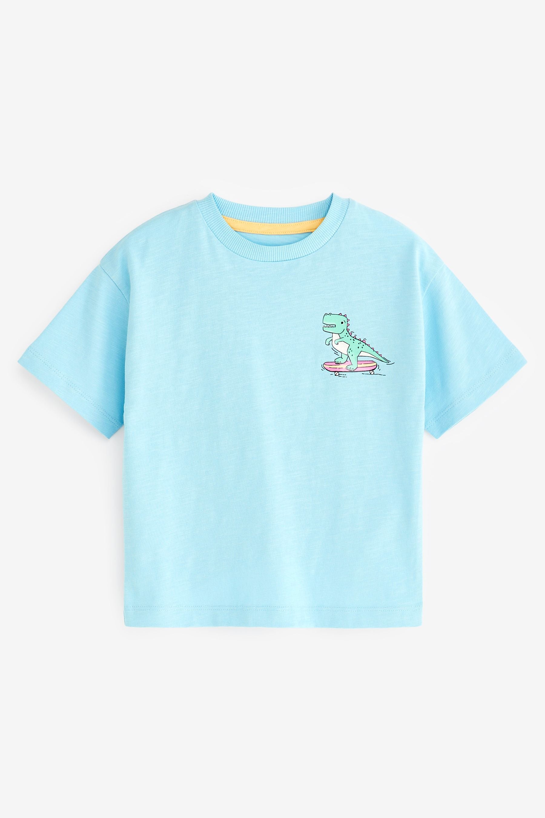 Pale Blue Little Dude Short Sleeve Slogan T-Shirt (3mths-7yrs)